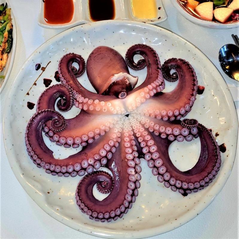 청송바다맛집
