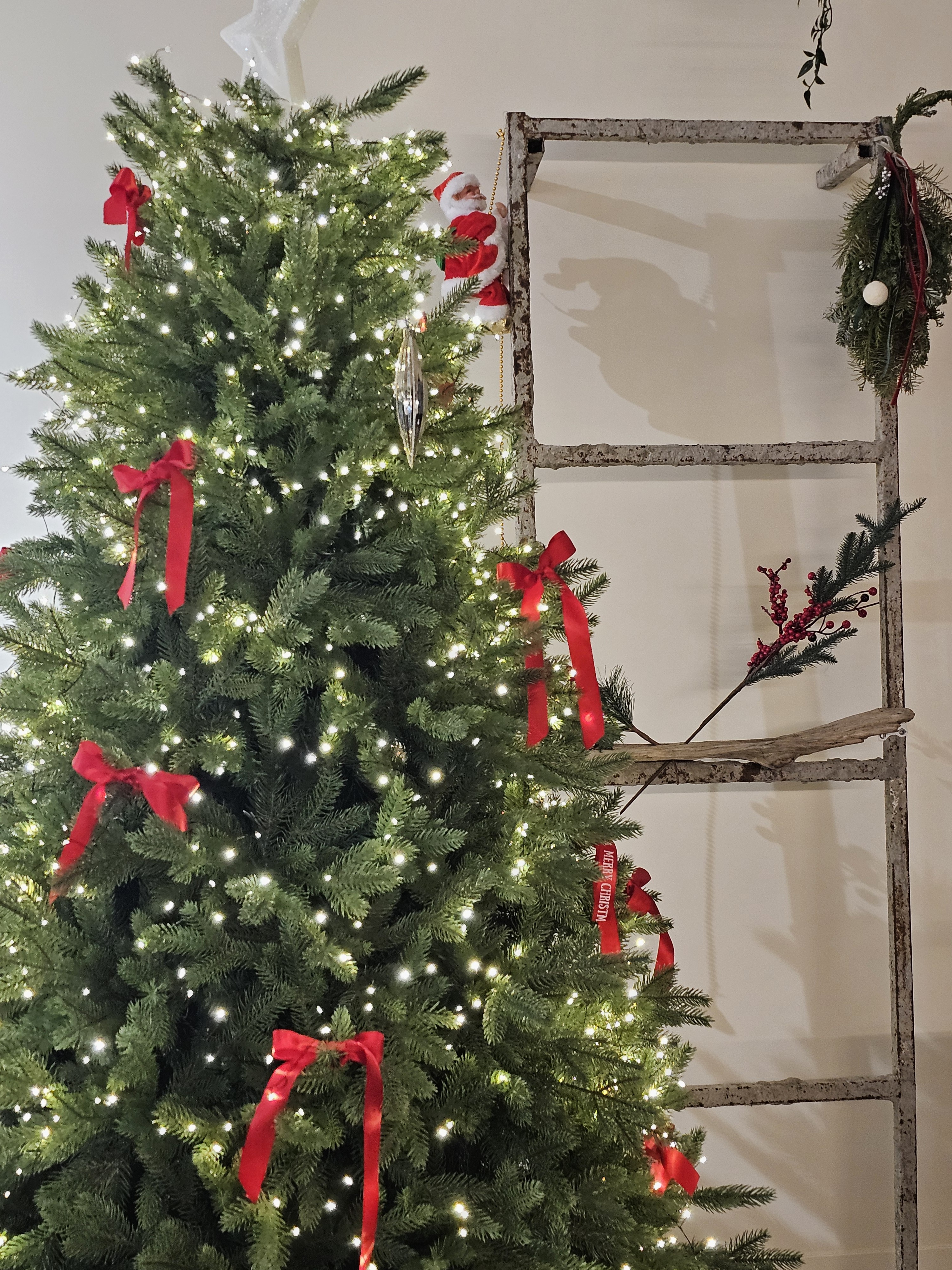 빰빠네오 대표 이미지