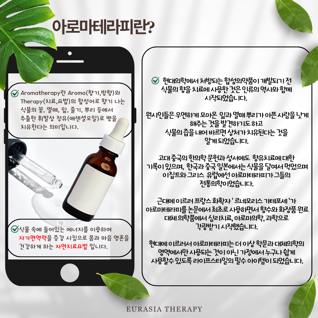 유라시아 photo 6