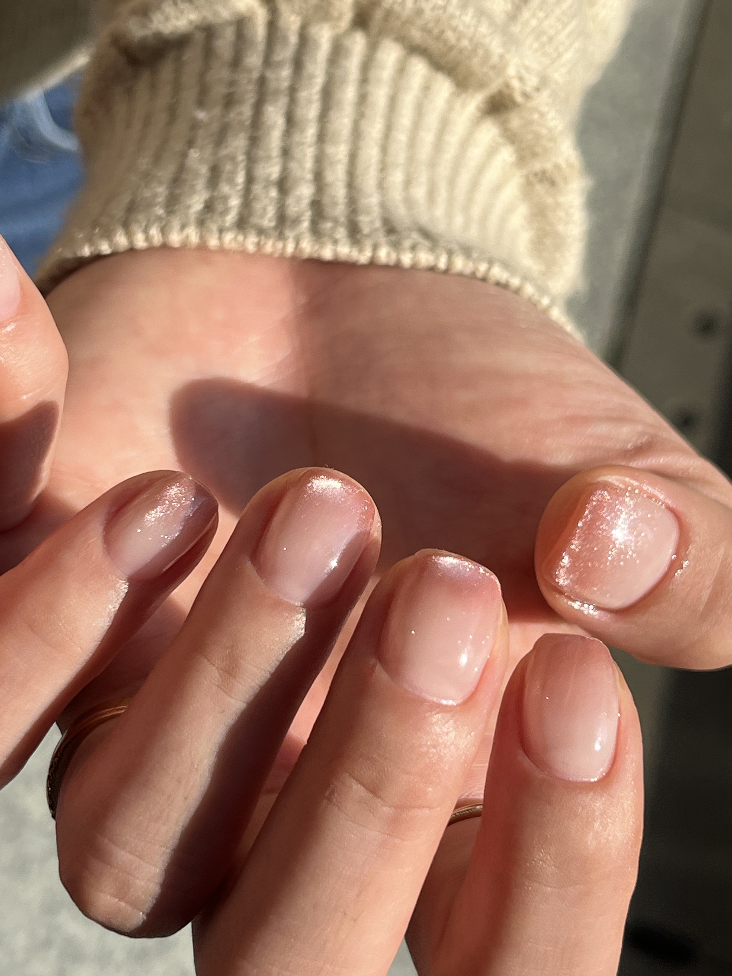 아보카도 대표 이미지