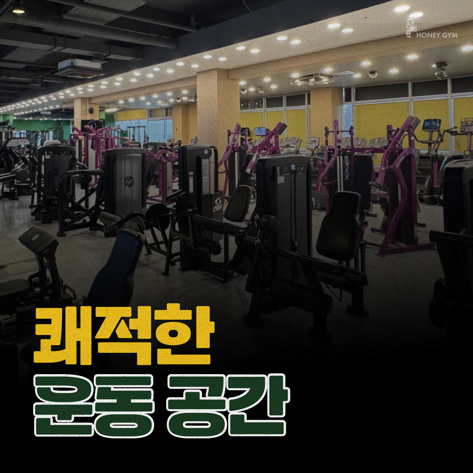 허니짐