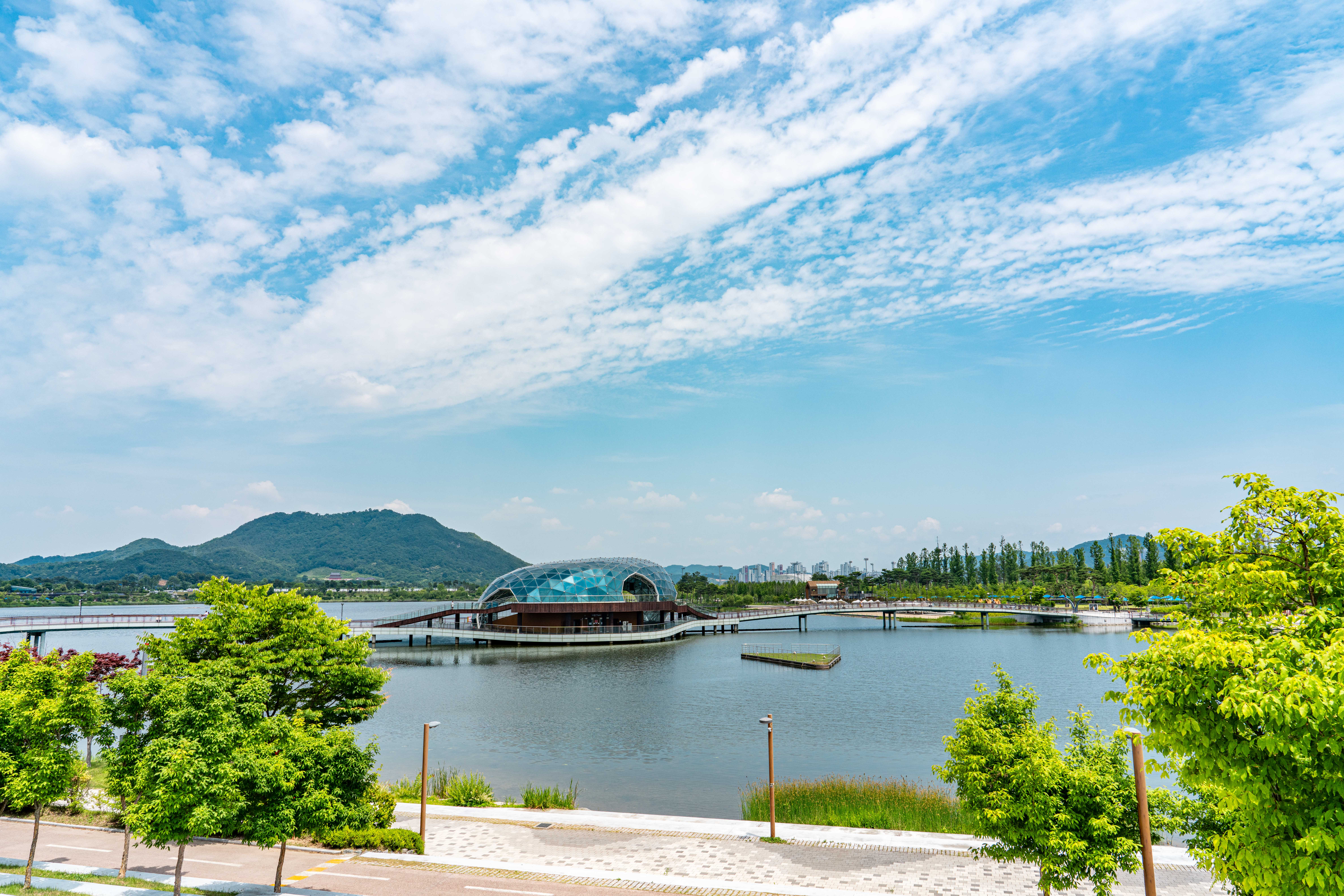 홀썸