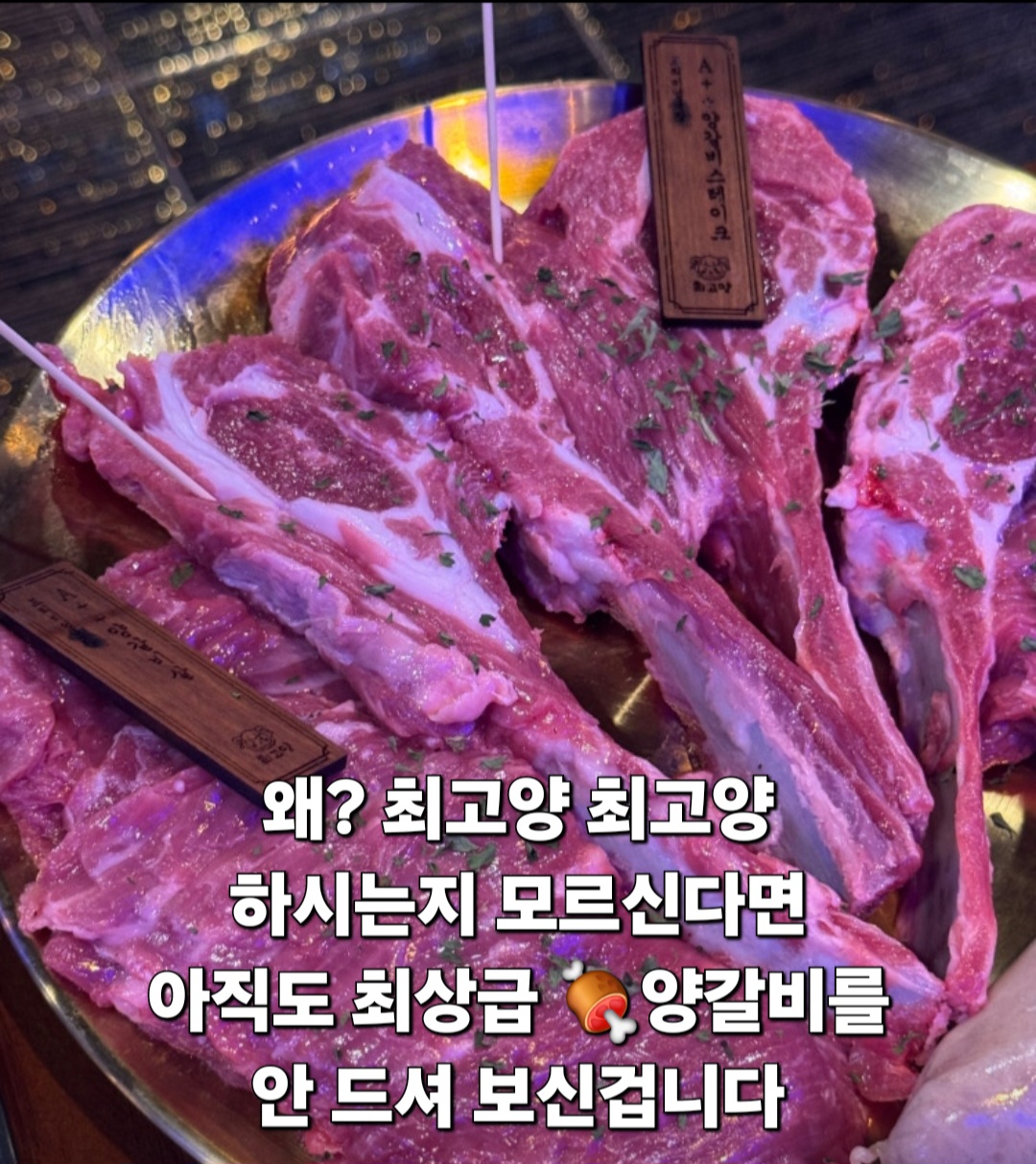 최고양