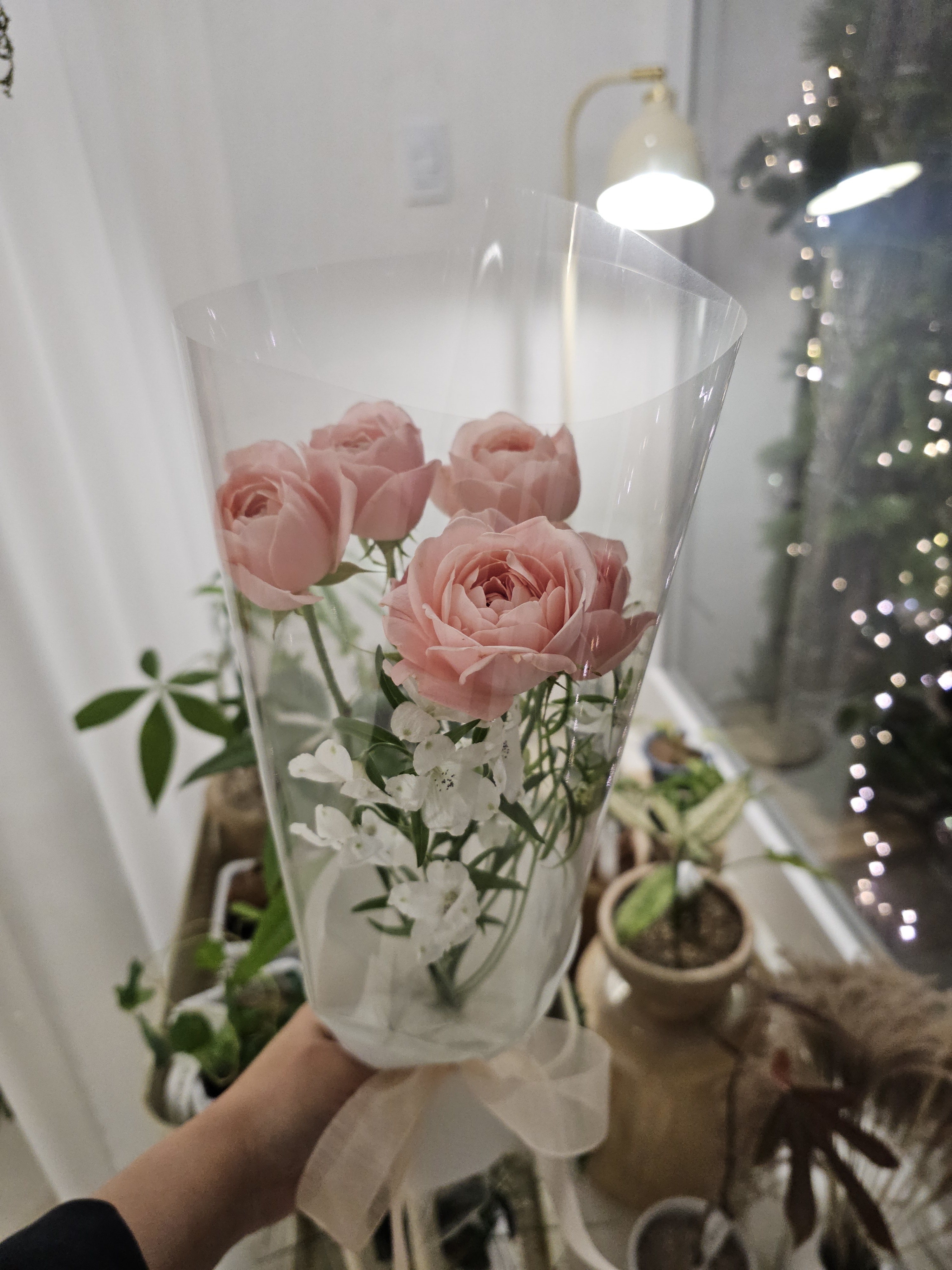 핀코너