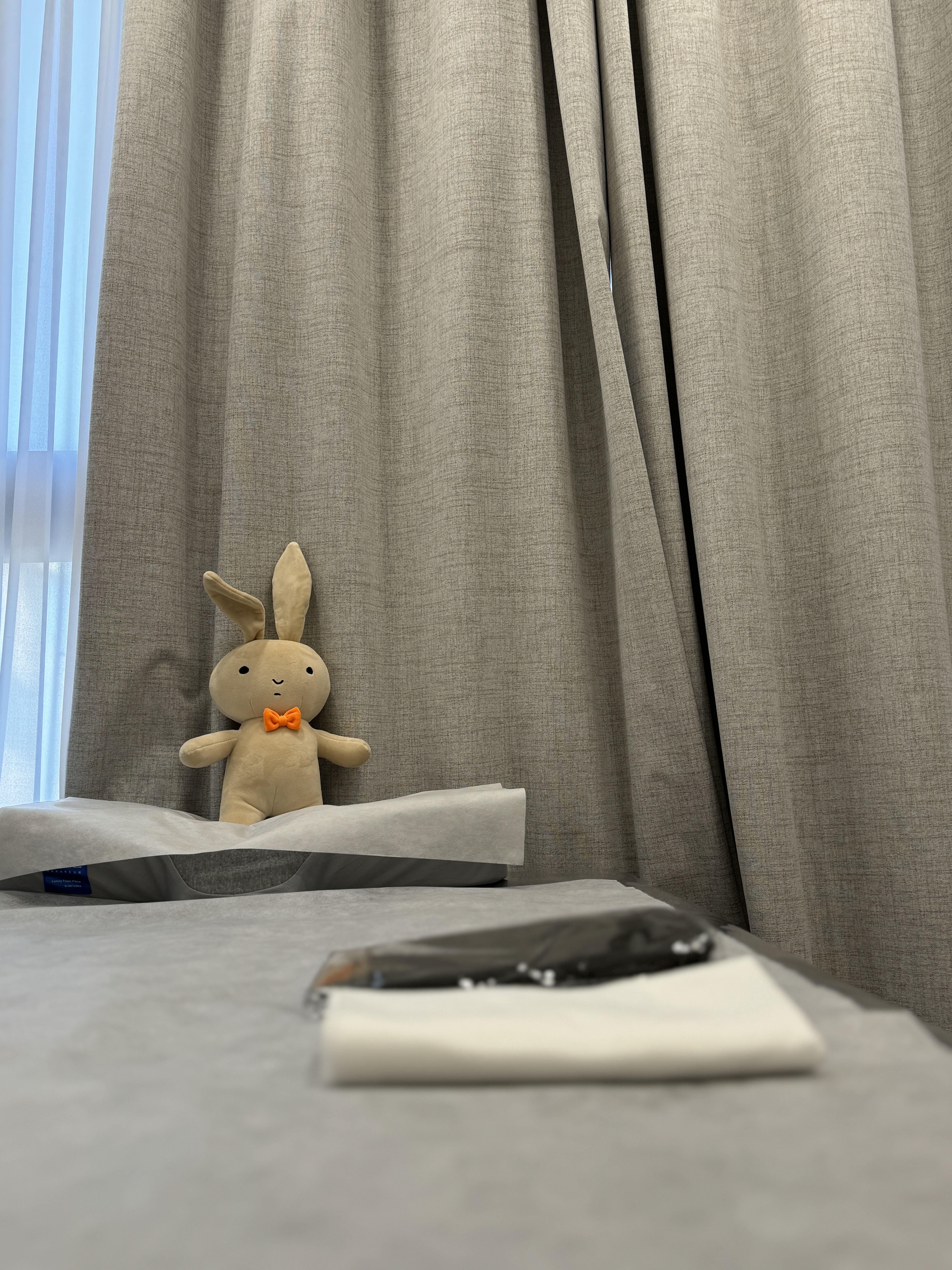 라인409 대표 이미지