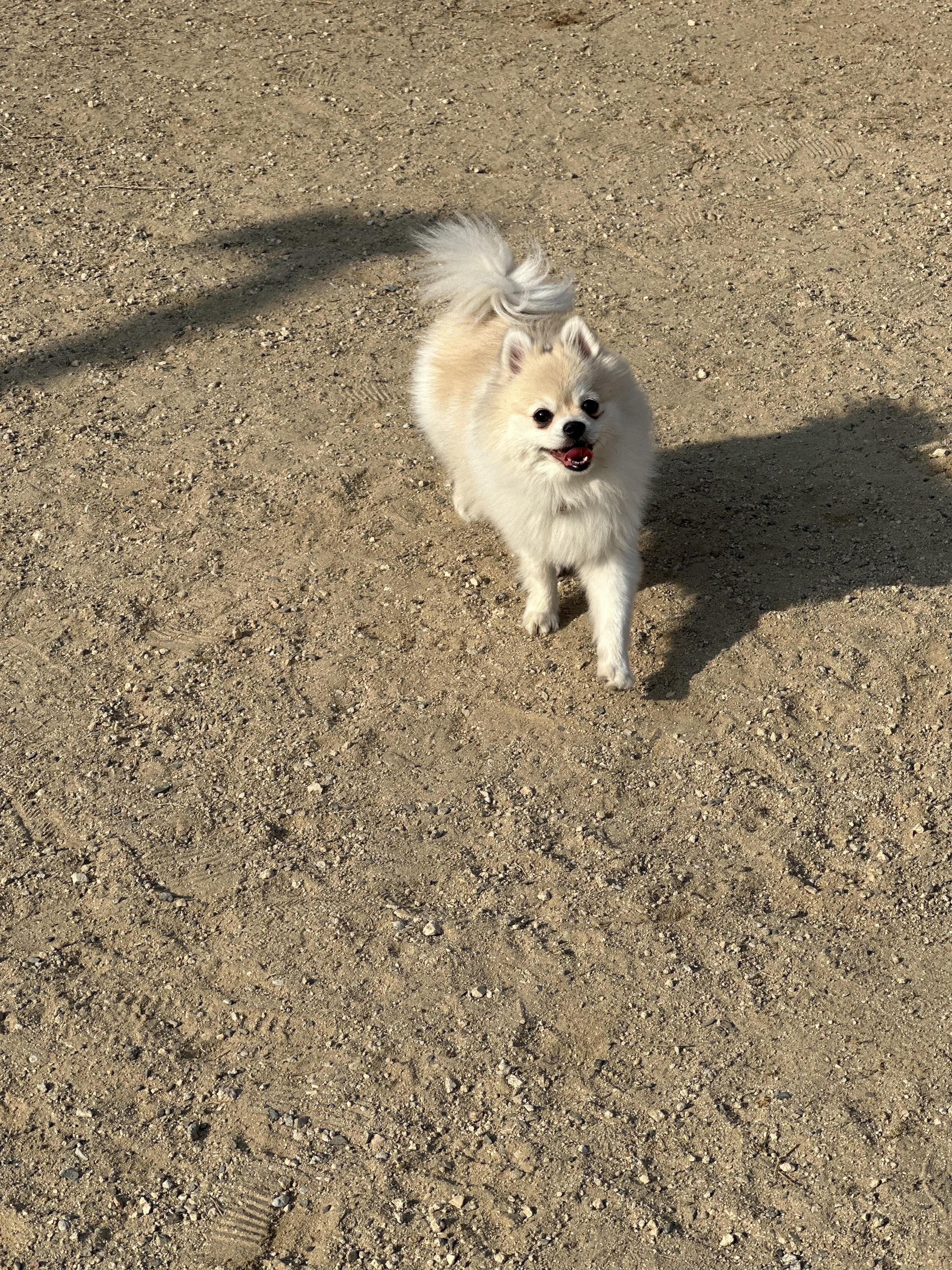 카페또또 6