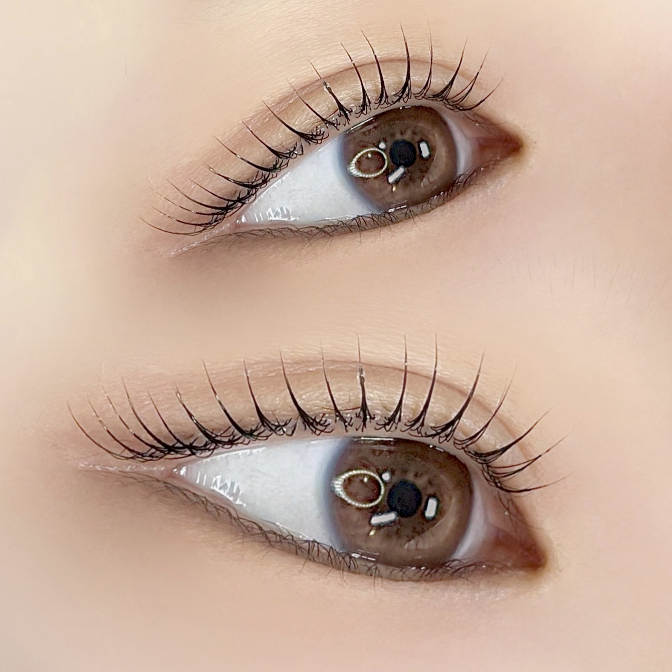 가드닝브로우 대표 이미지