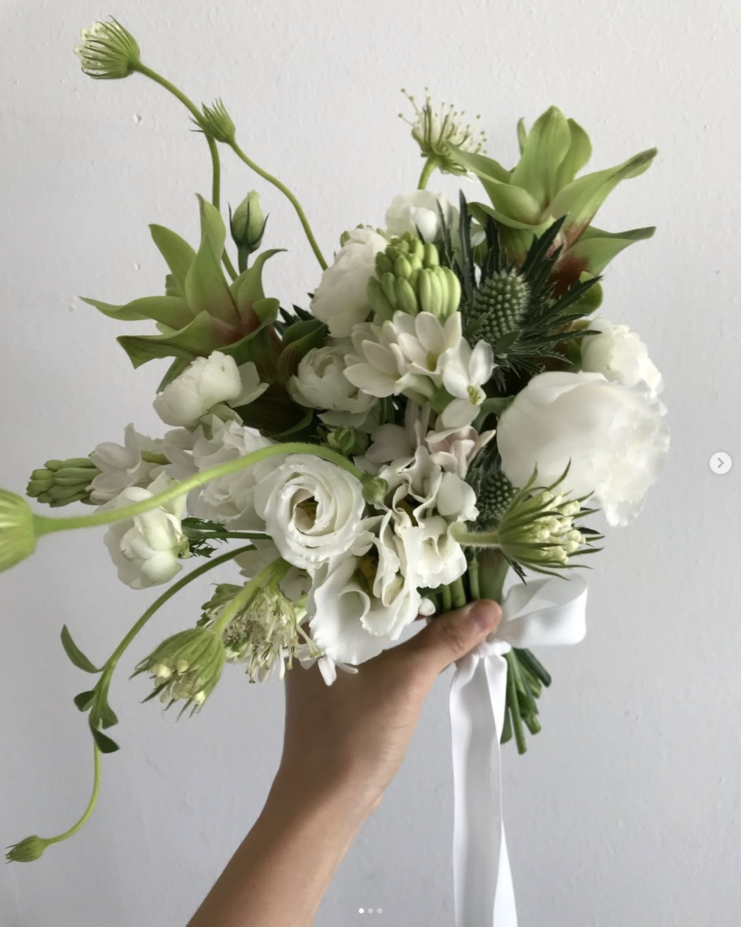 코모레비 대표 이미지