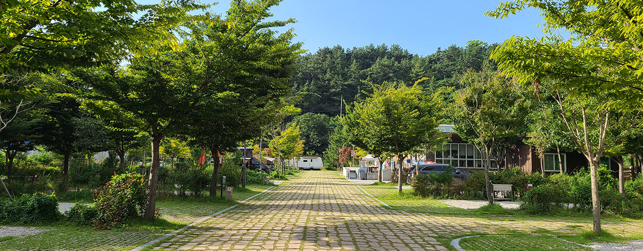 캠핑장 사진