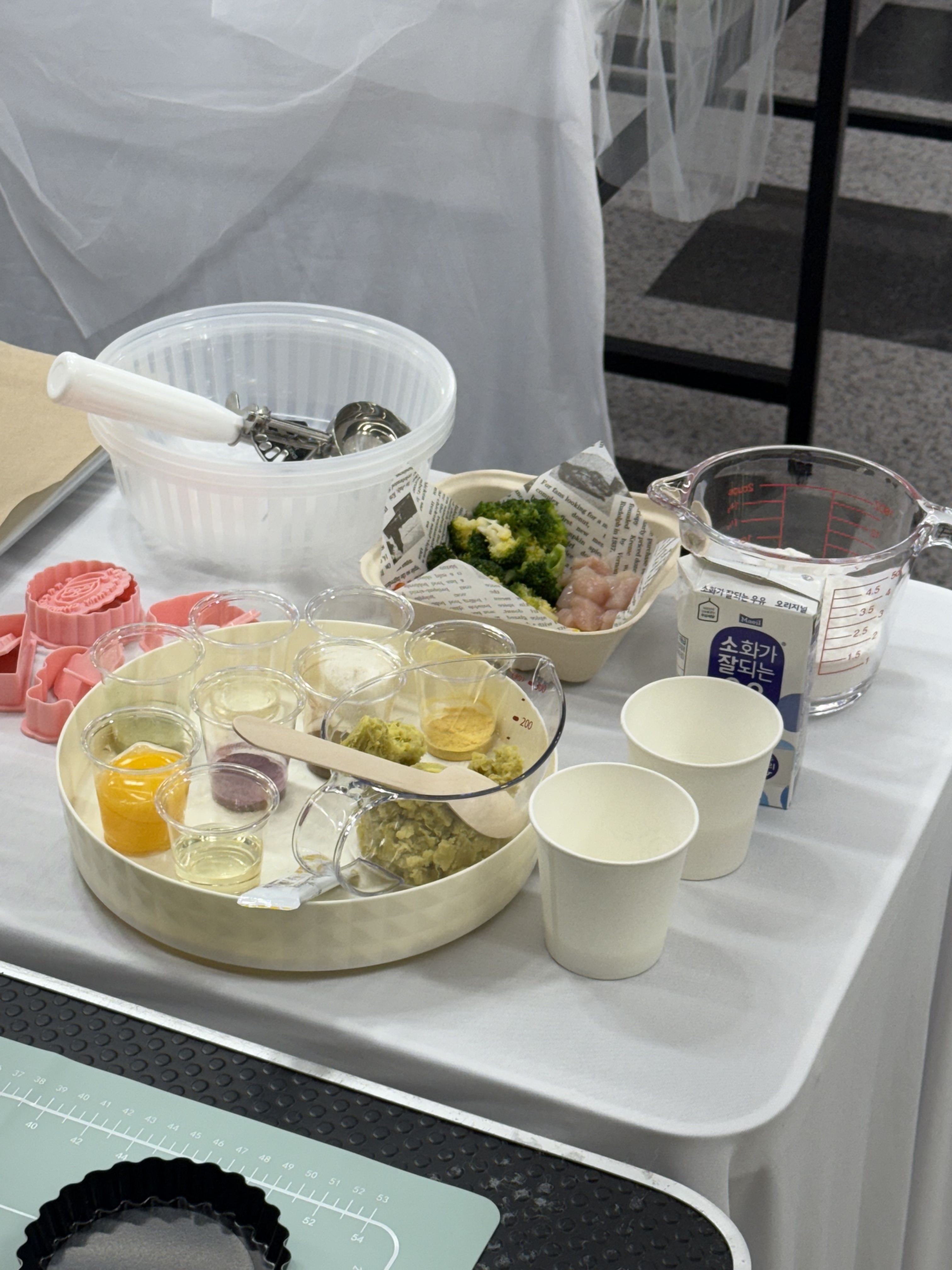 이바우펫애견미용학원 강남아카데미 대표 이미지