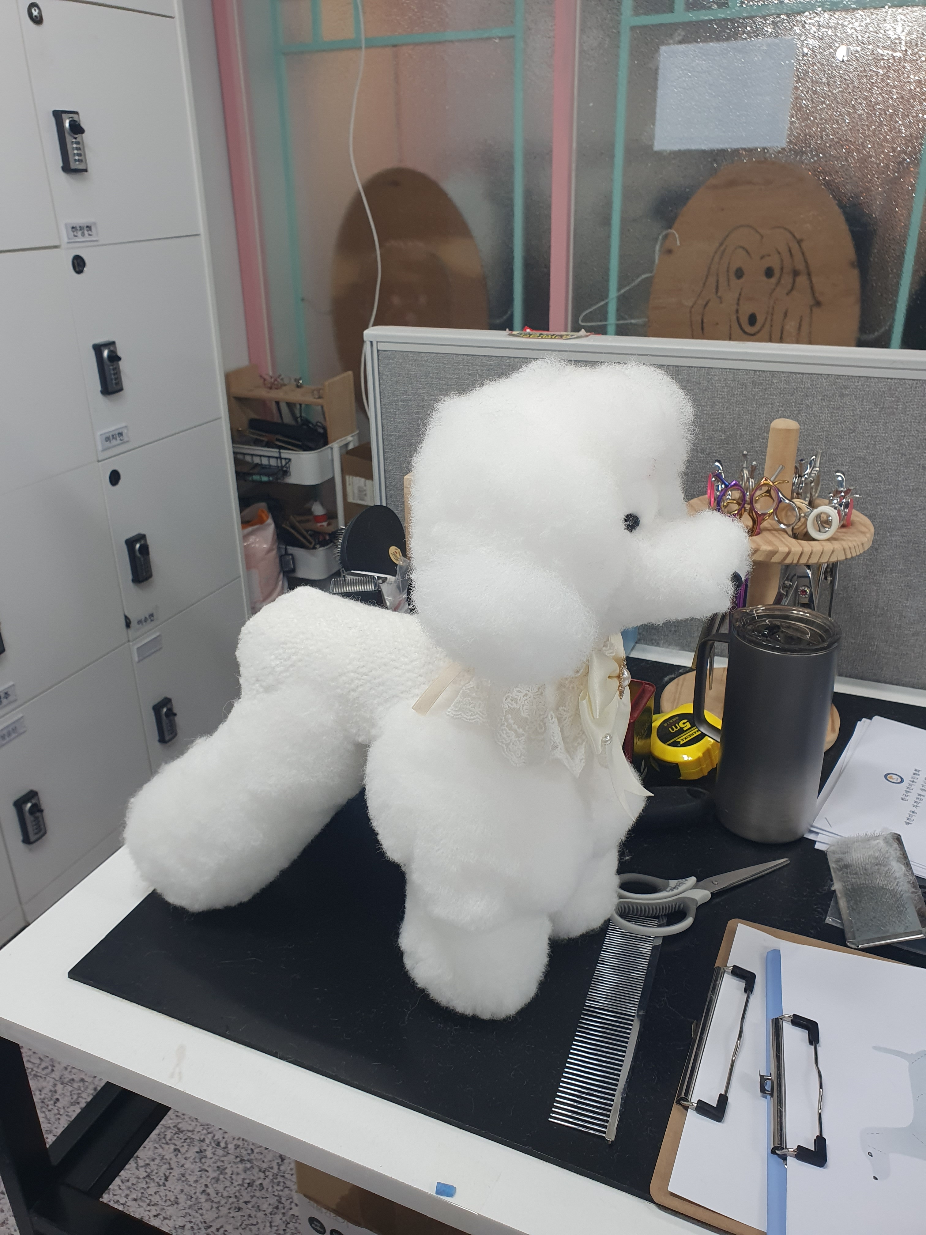 이바우펫애견미용학원 강남아카데미 대표 이미지