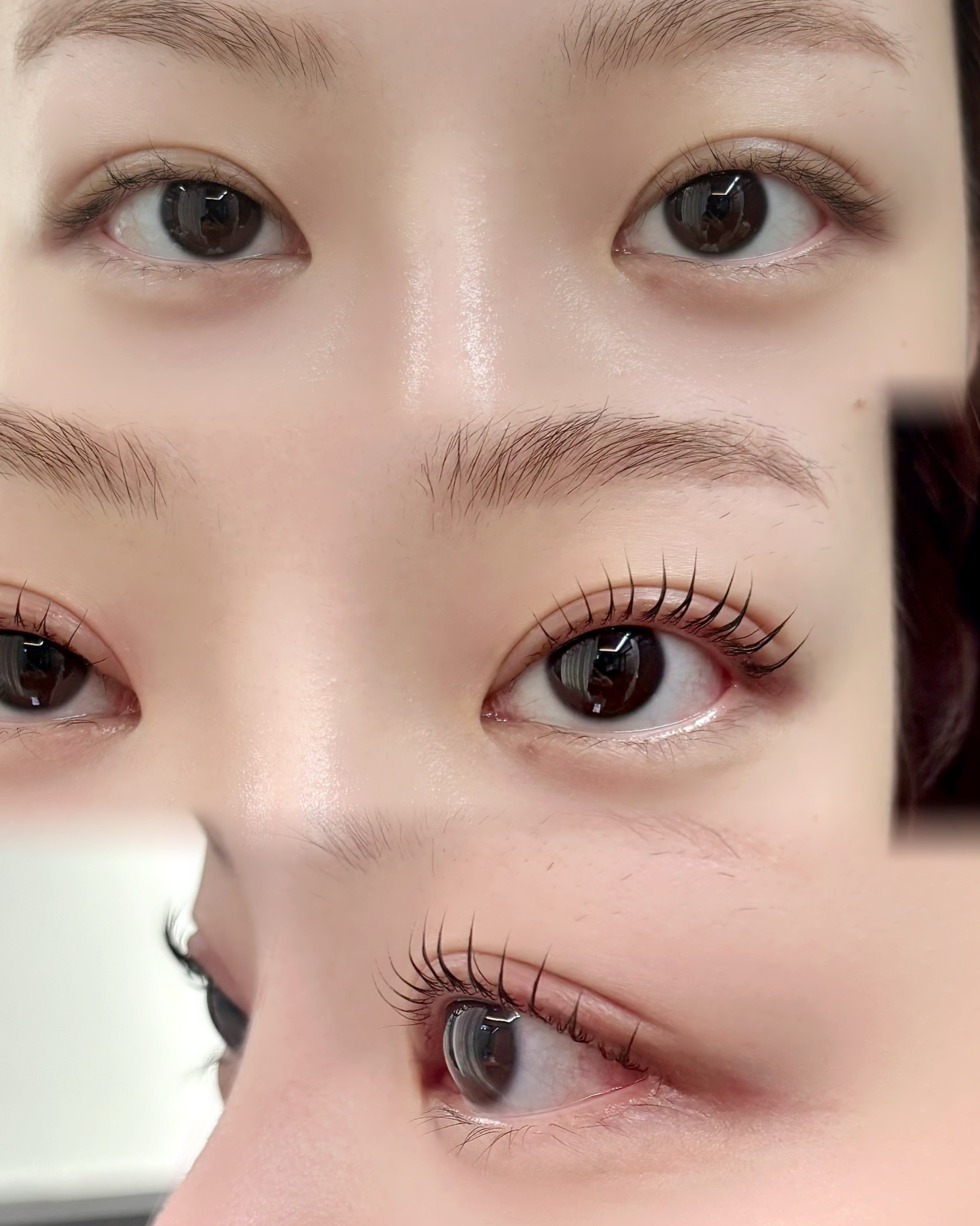 인생뷰티속눈썹