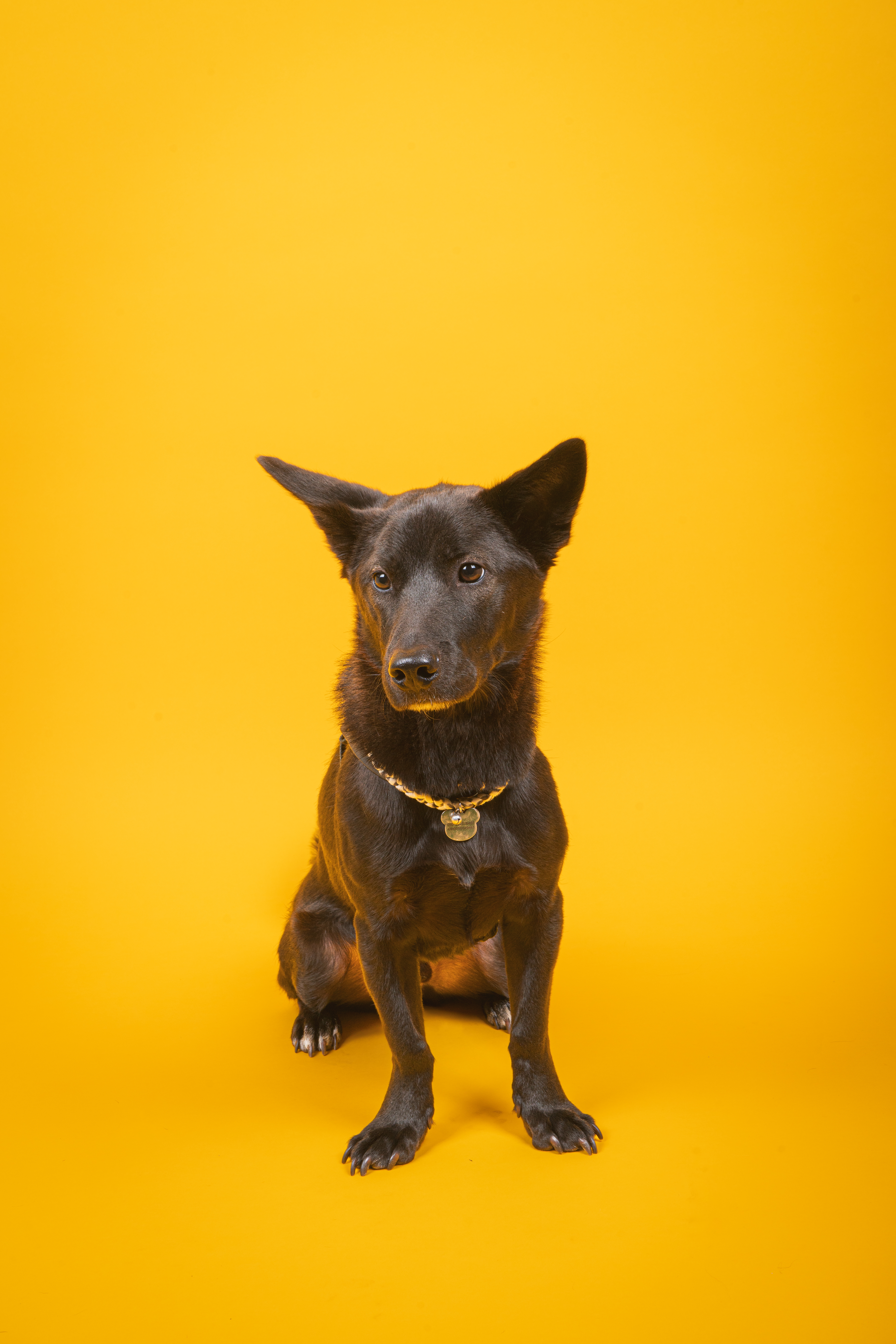 멍 스테이 대표 이미지