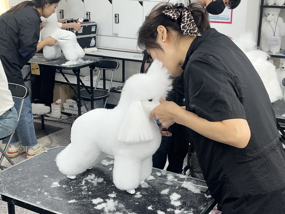 이바우펫 강남 대표 이미지