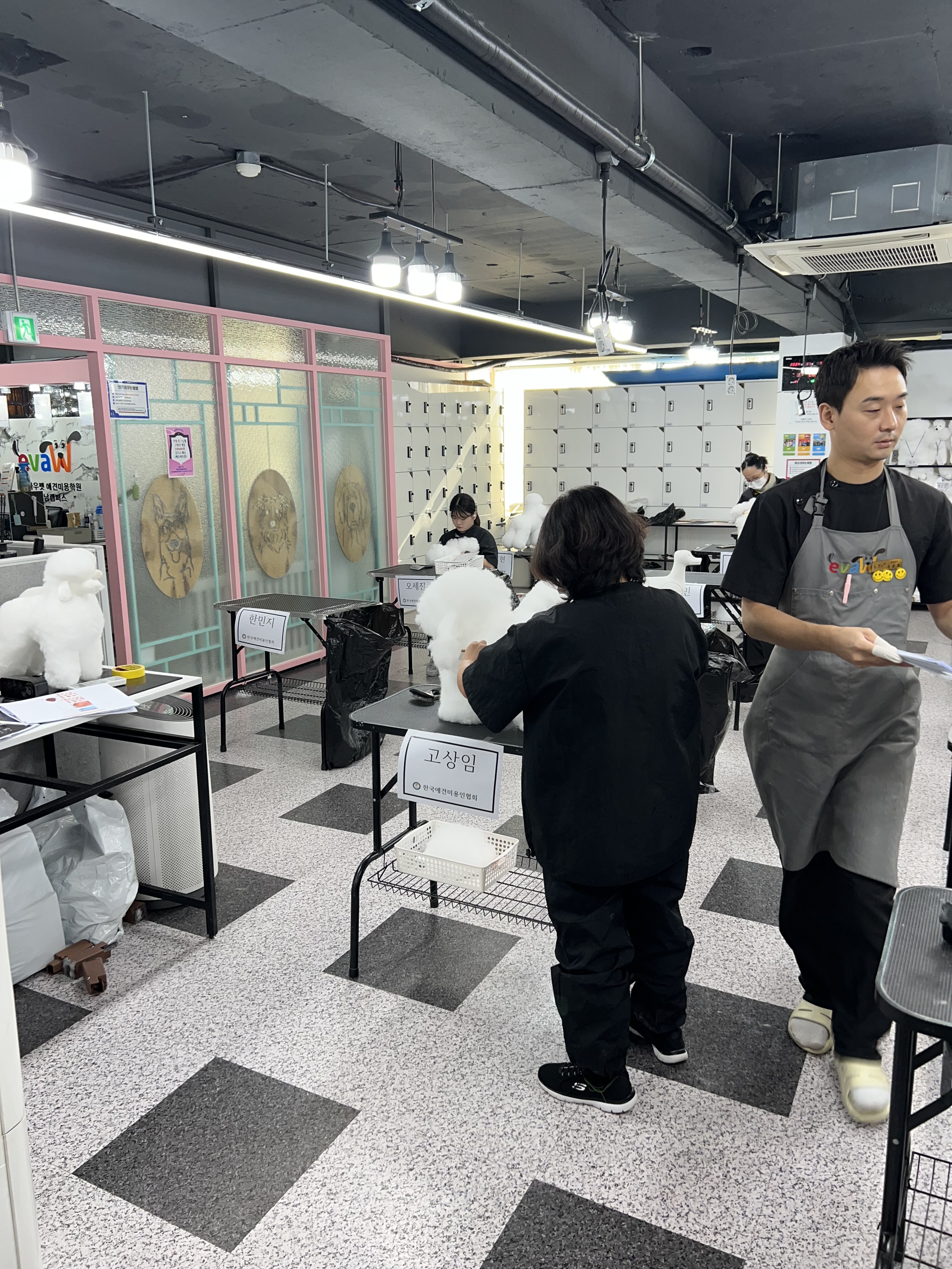 이바우펫 강남 대표 이미지