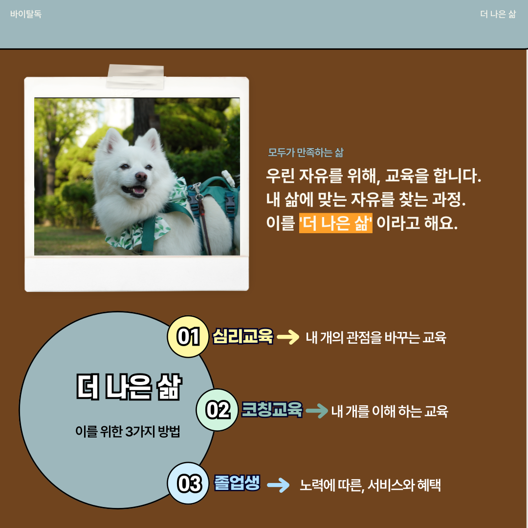 바이털독 대표 이미지