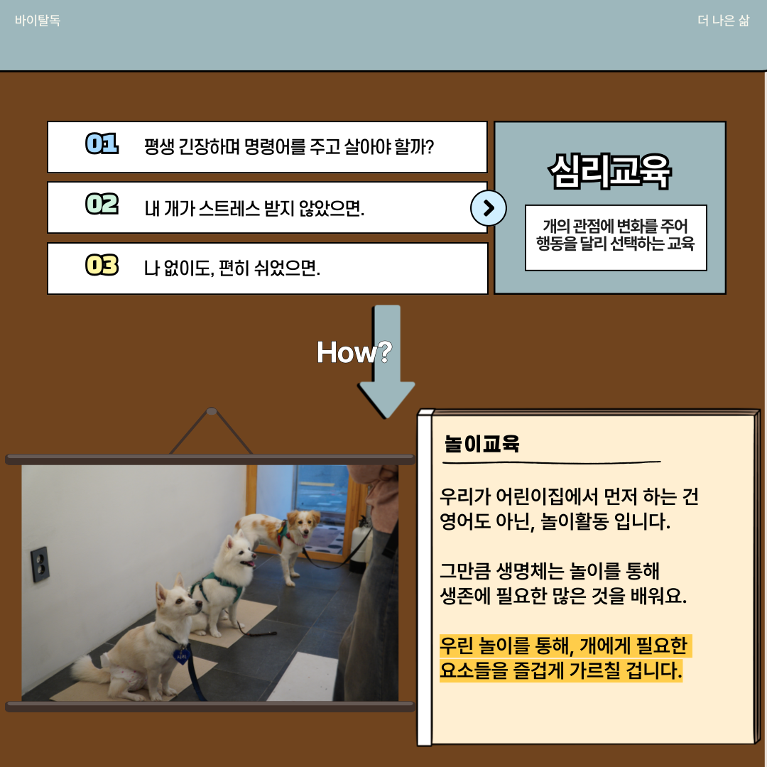바이털독 대표 이미지