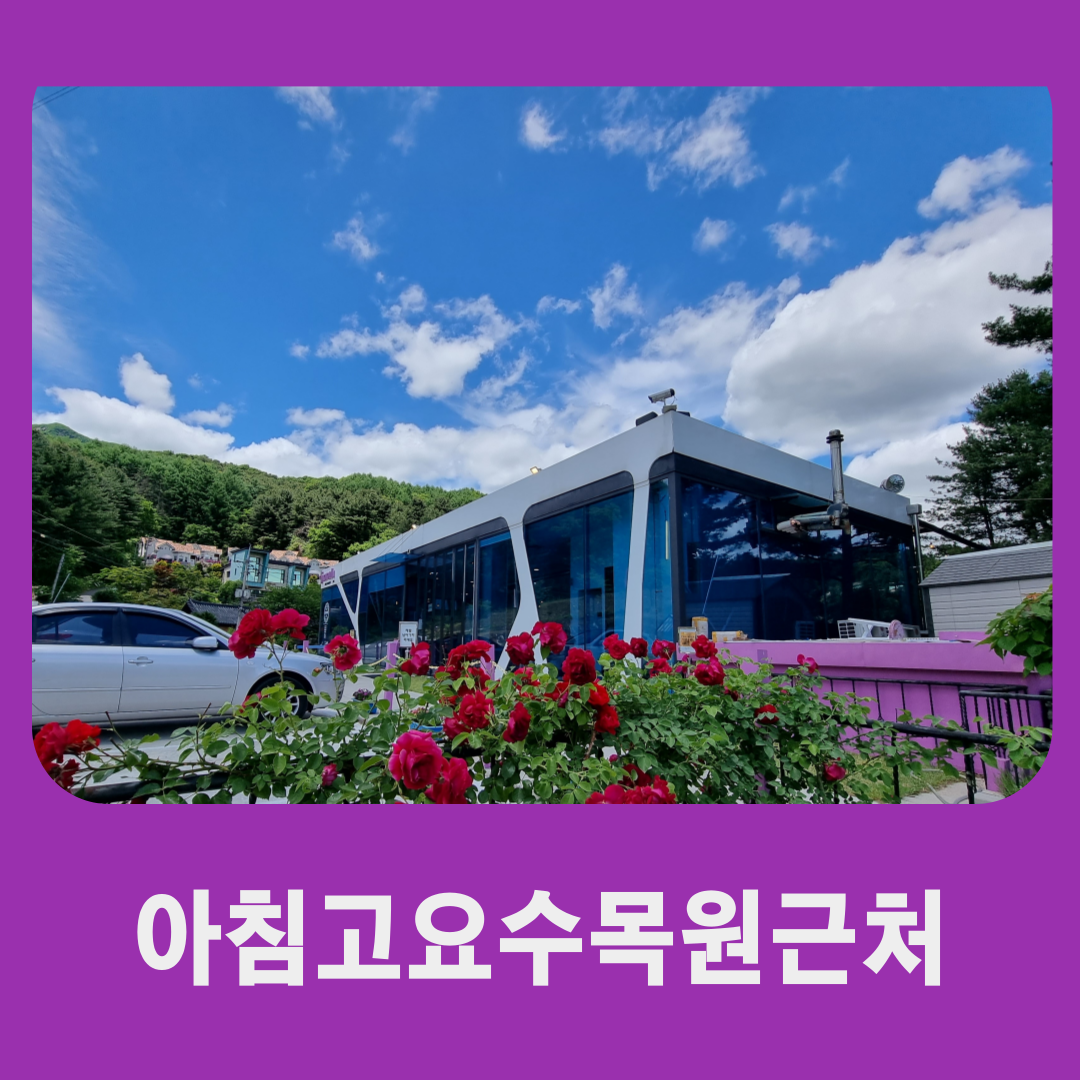 자카란다