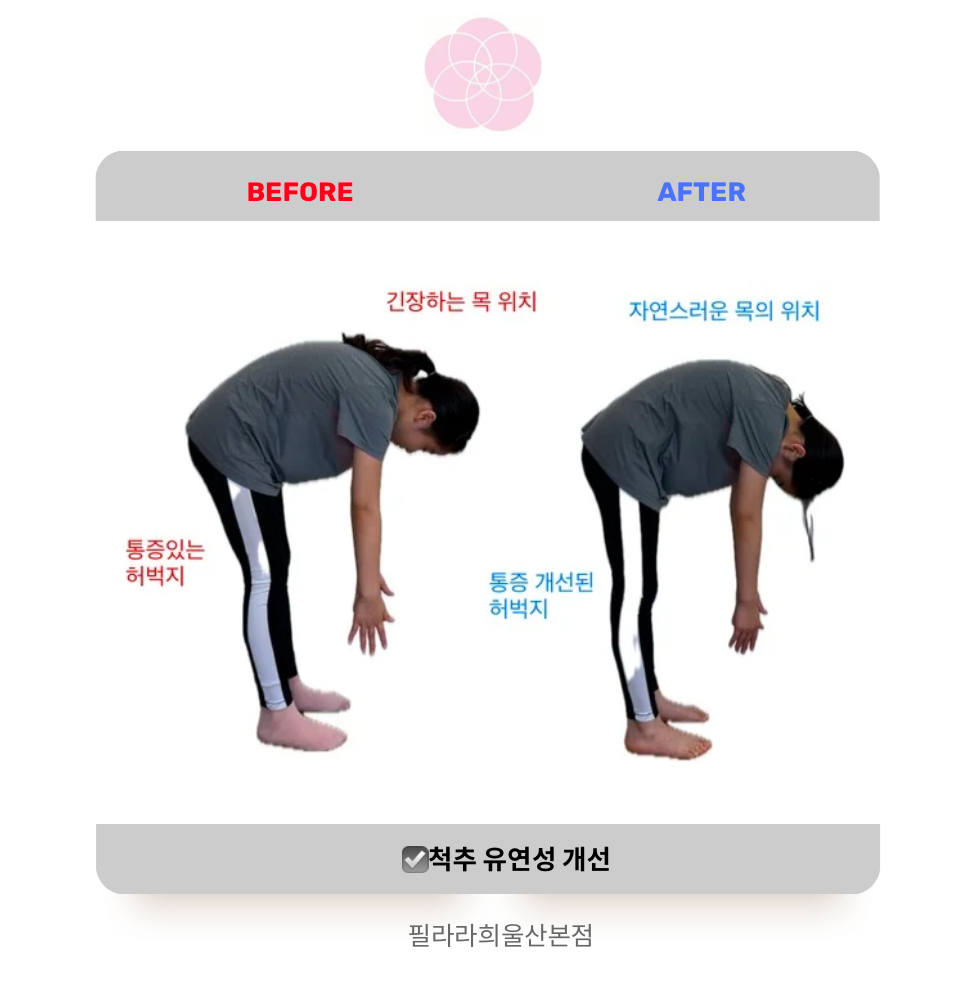 필라라희 울산본점