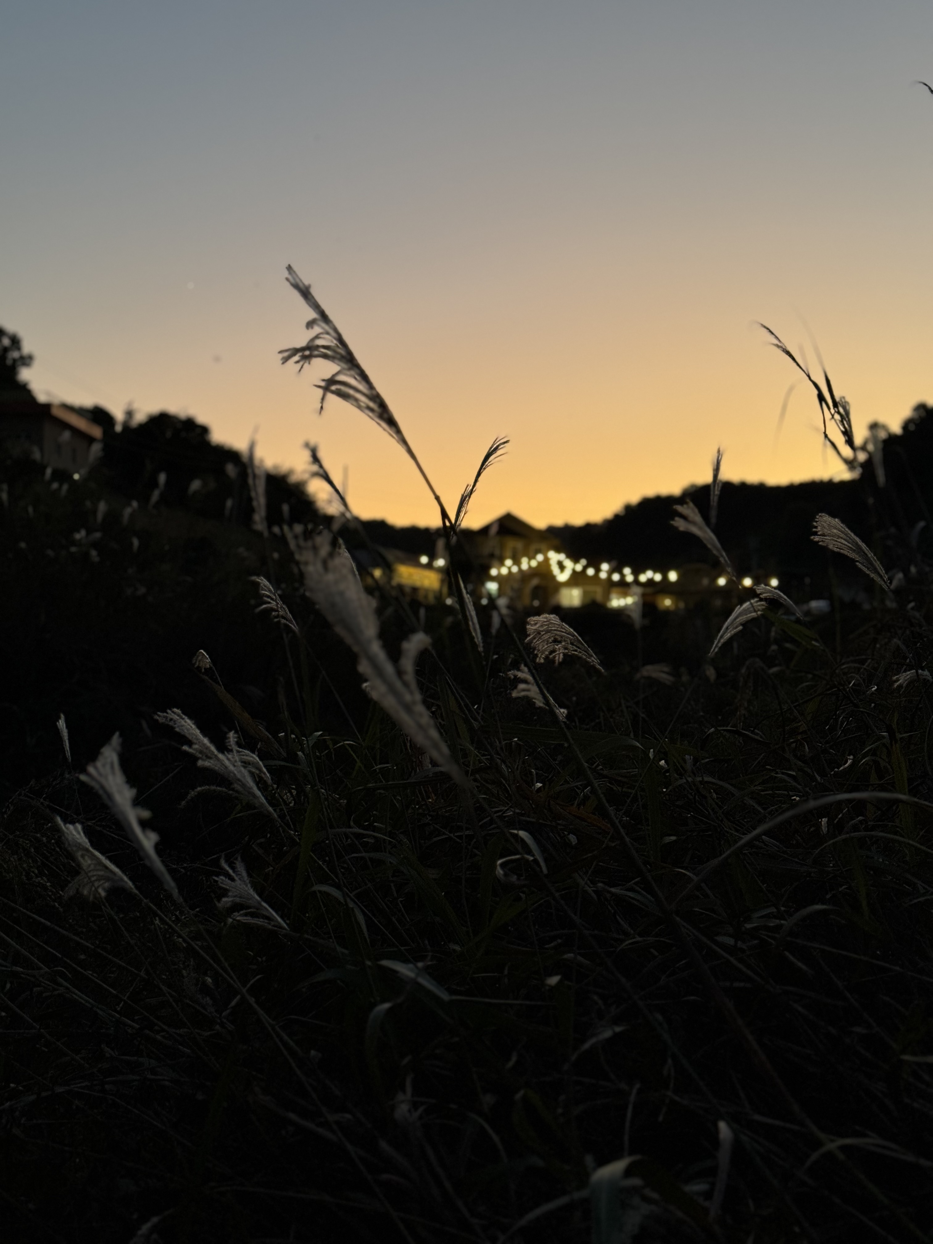 환타파인펜션 대표 이미지