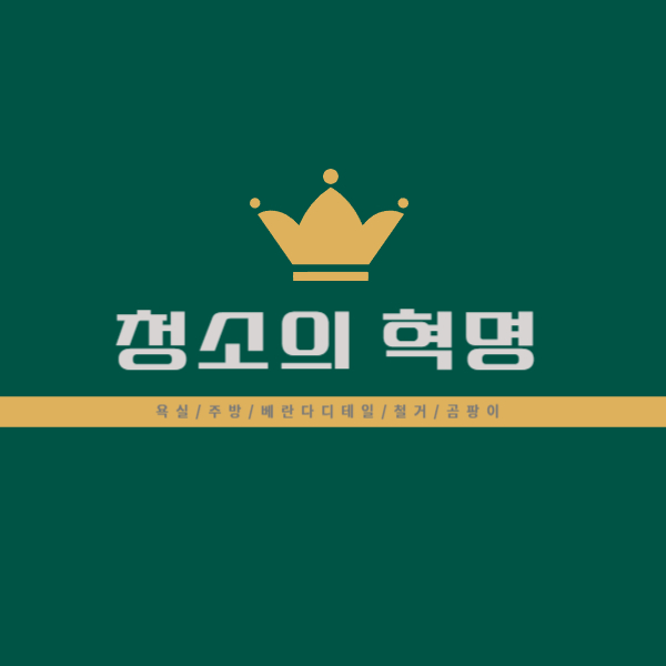 청소의혁명