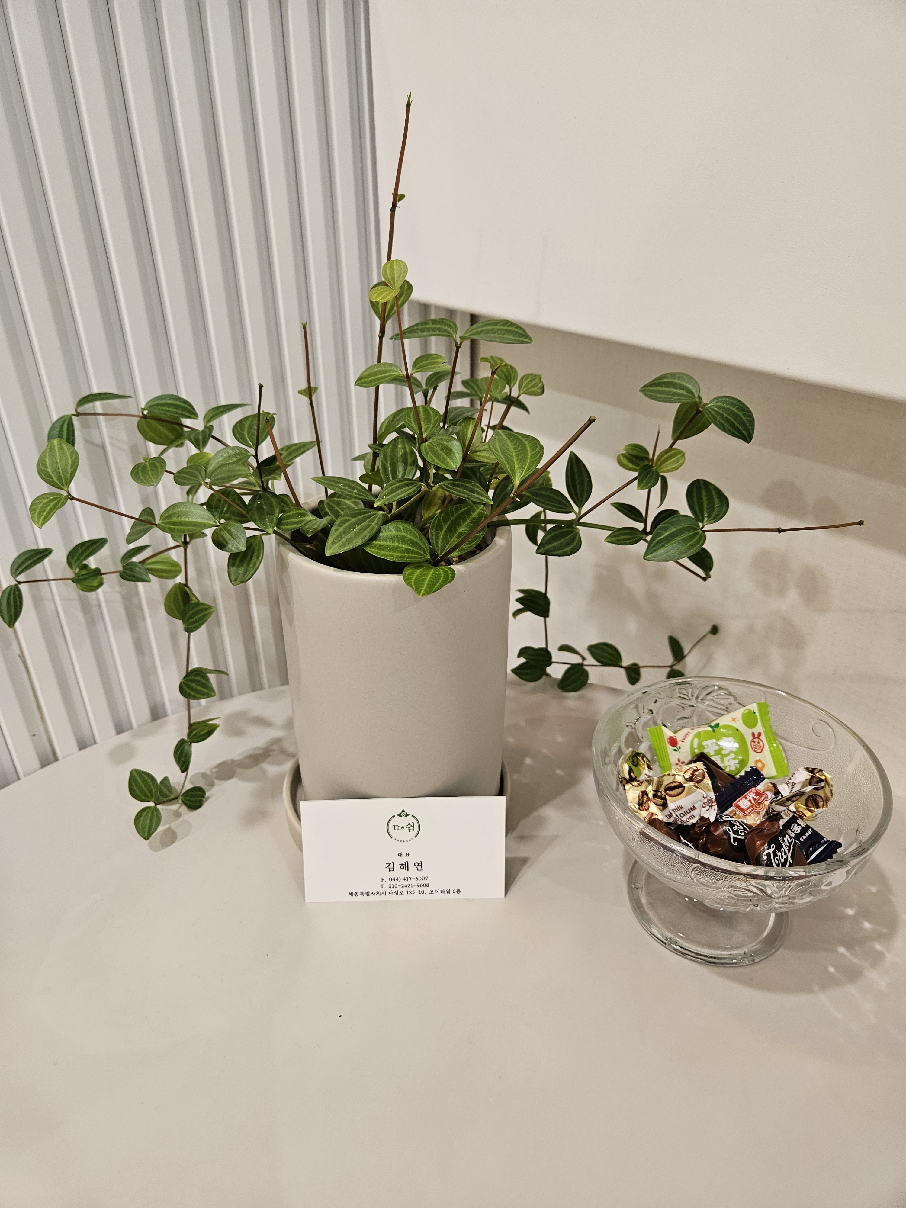 더쉼 마사지 photo 4
