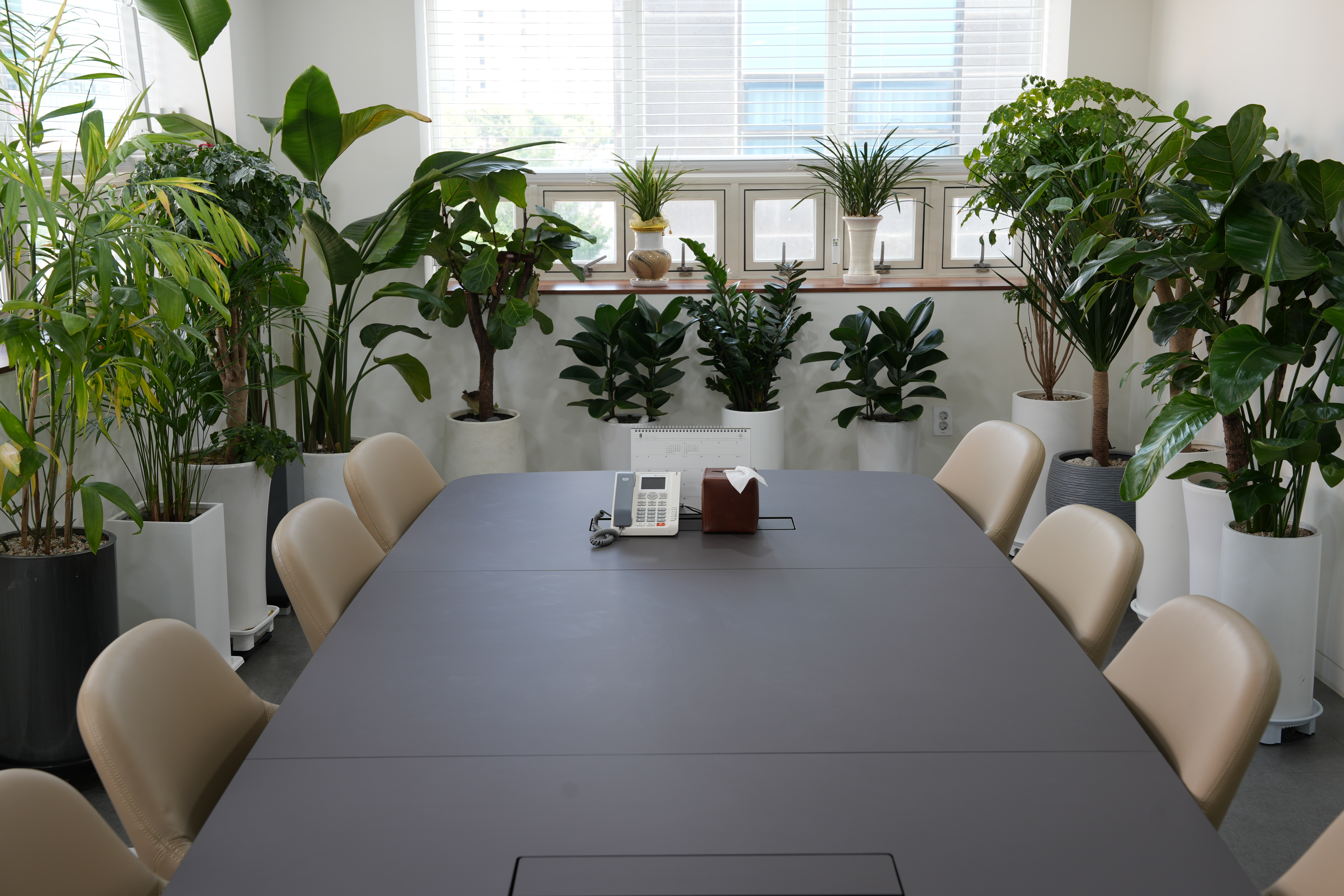 더신사 법무법인 대표 이미지