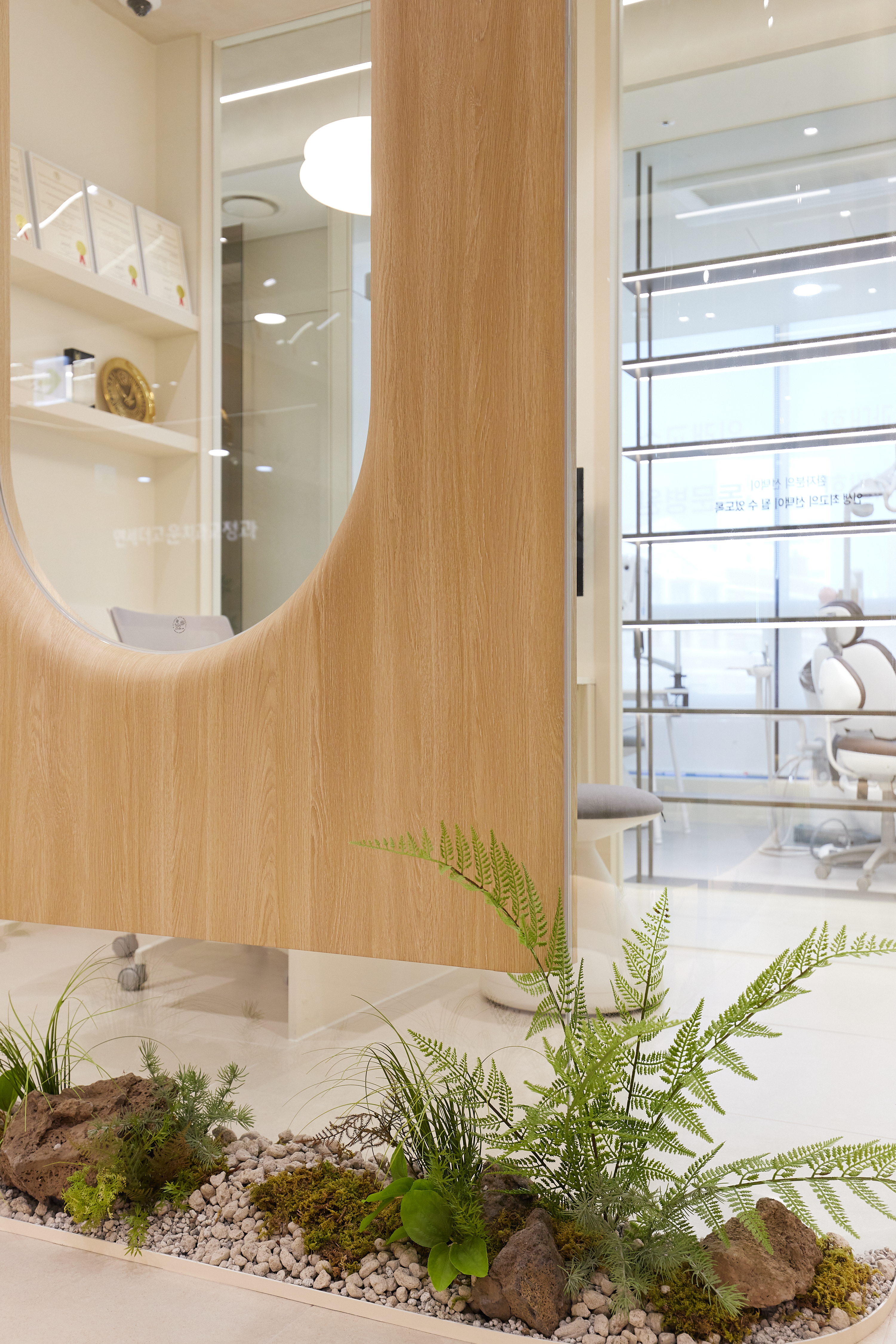 연세더고운치과교정과의원 대표 이미지