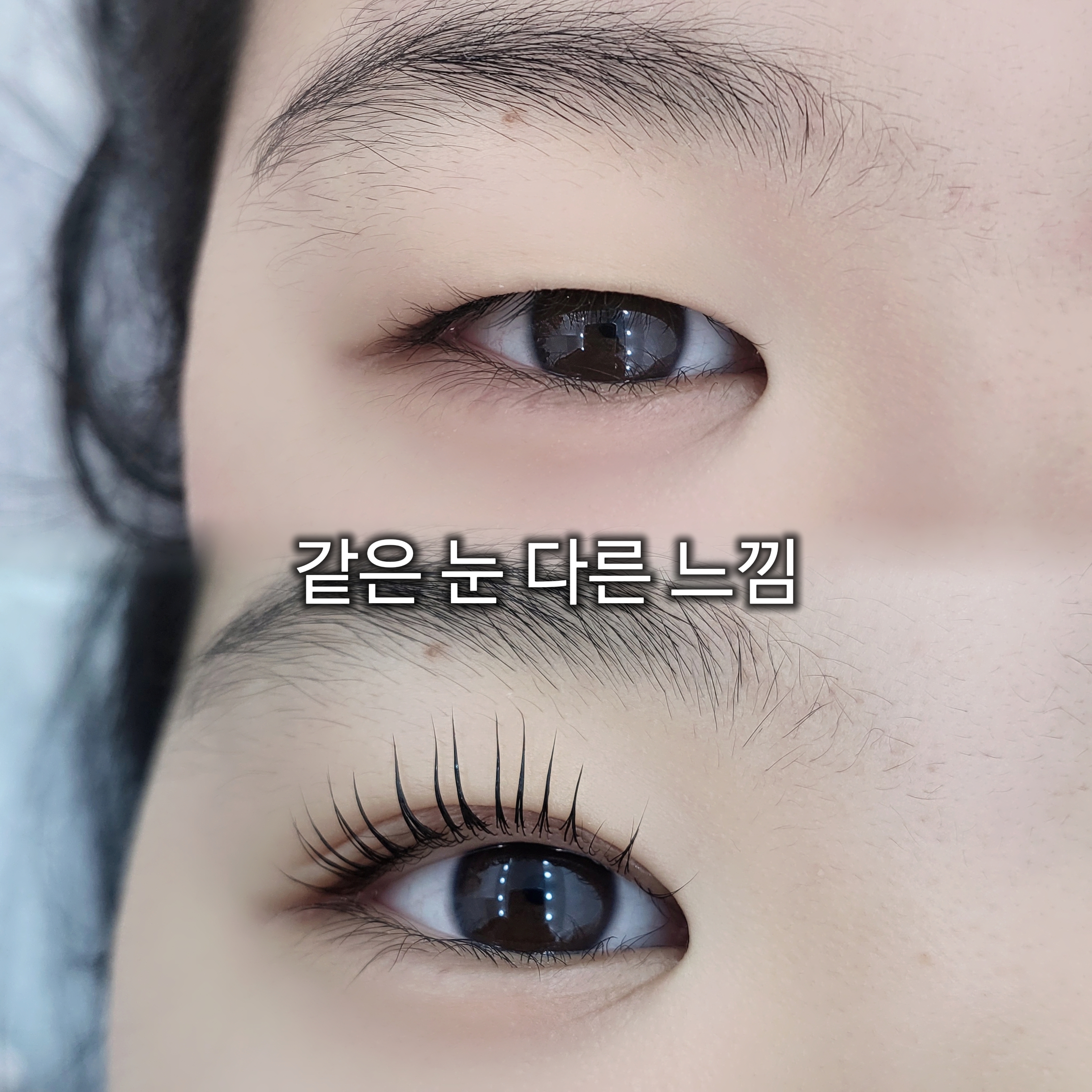 오늘의뷰티