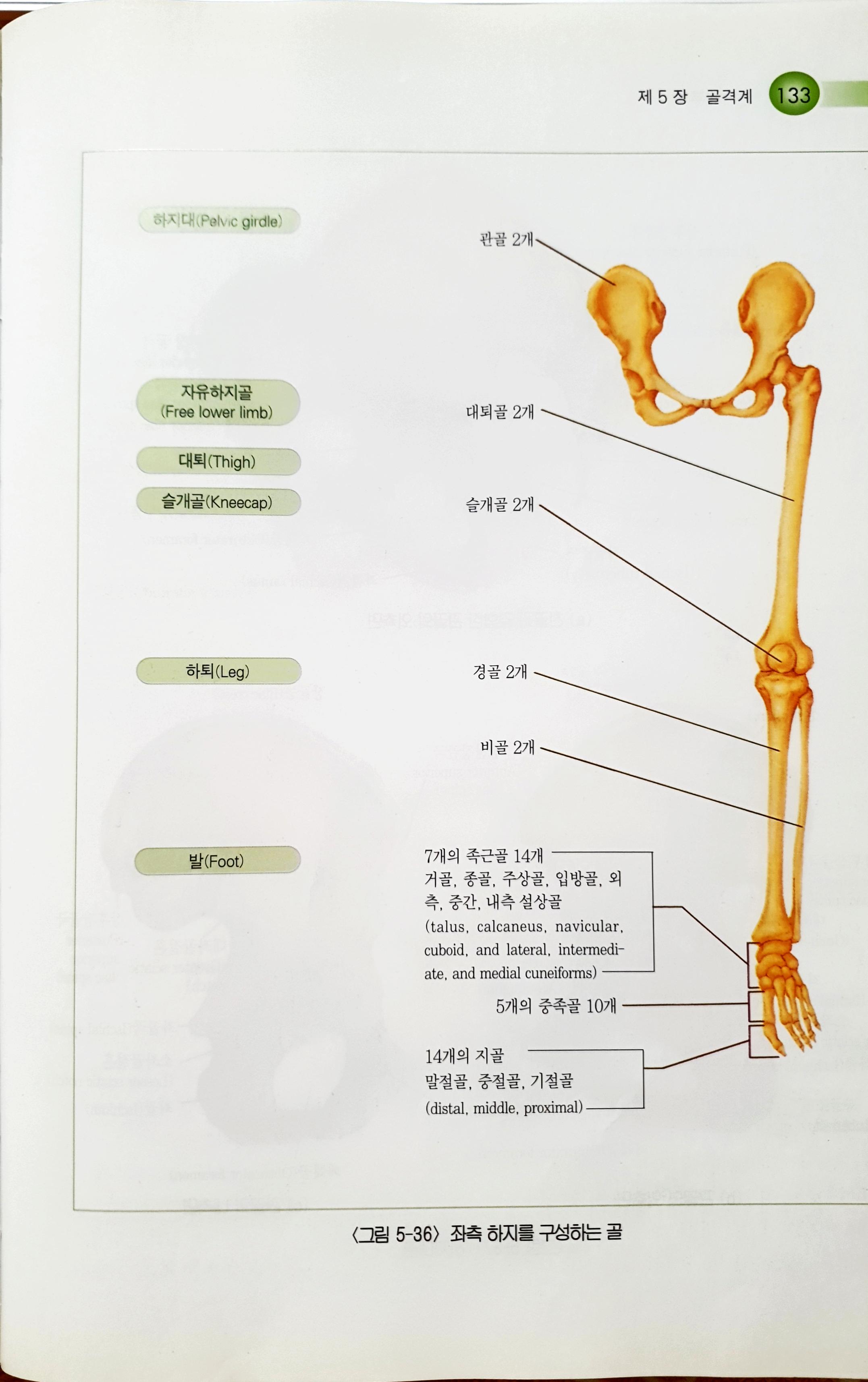 최찬영 수기마사지 체형미연구소