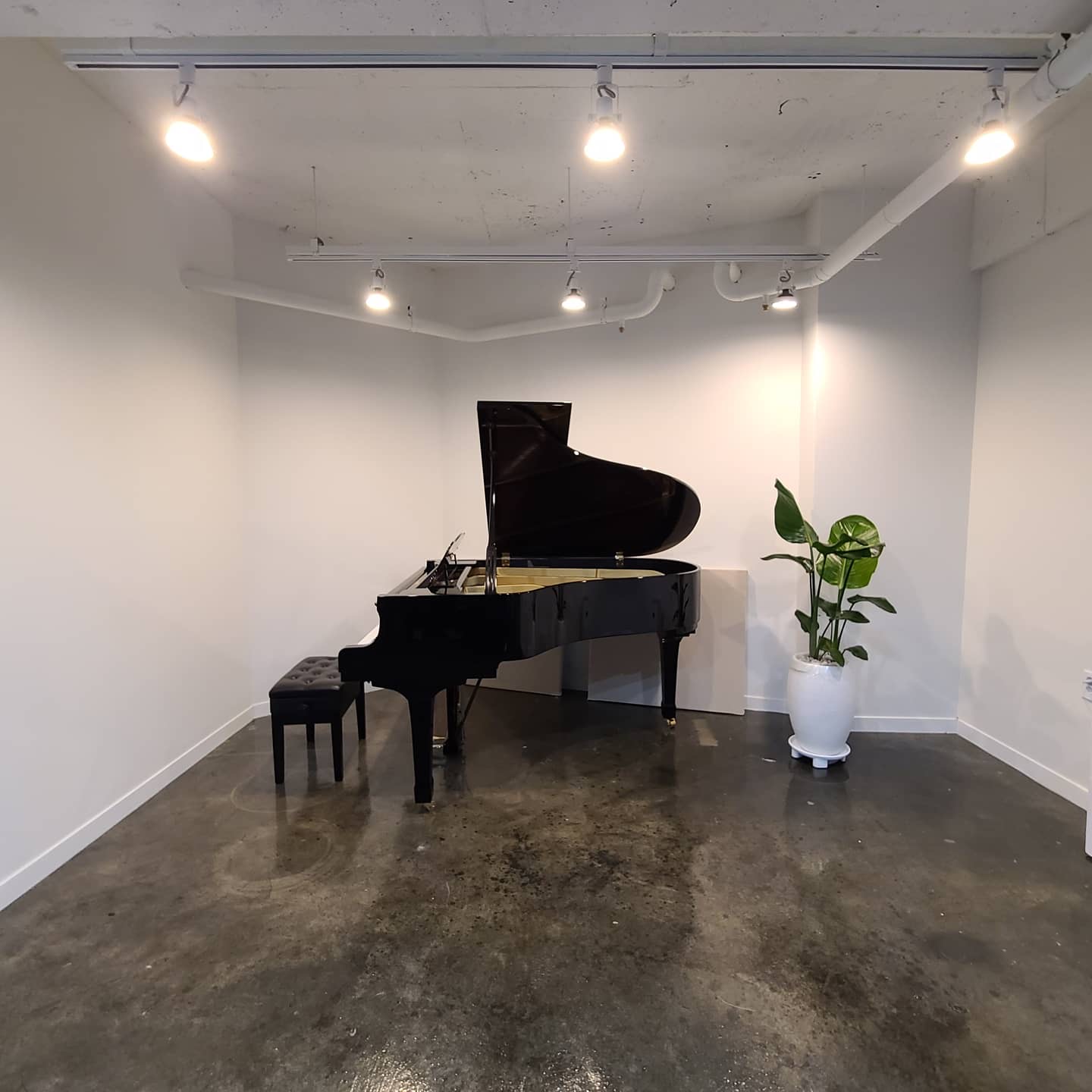 2번째 스튜디오 사진