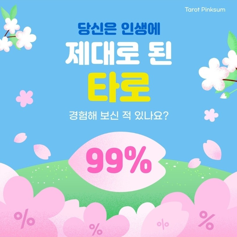 타로핑크썸 홍대점
