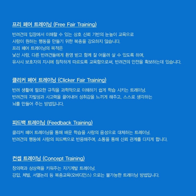 딩고코리아 반려견교육센터 애견훈련 애견유치원 애견호텔 대표 이미지