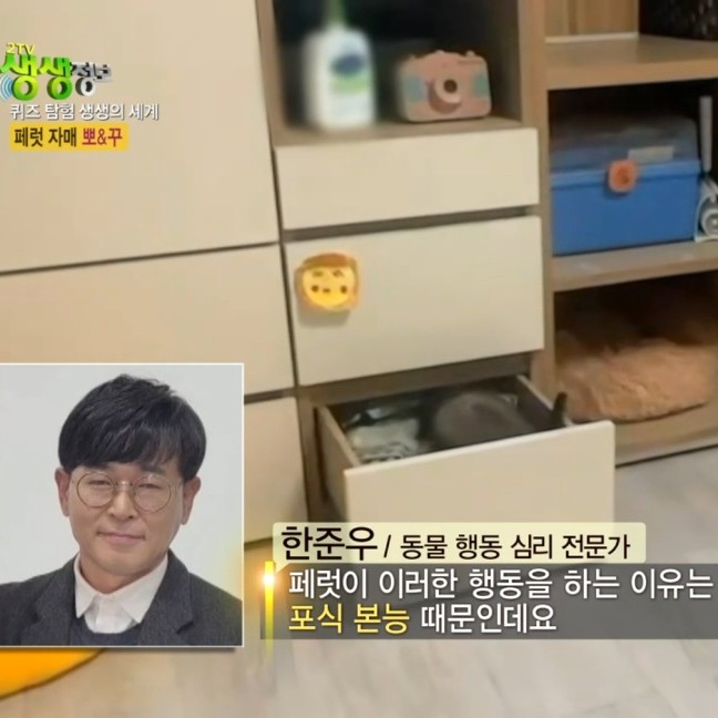 딩고코리아 대표 이미지