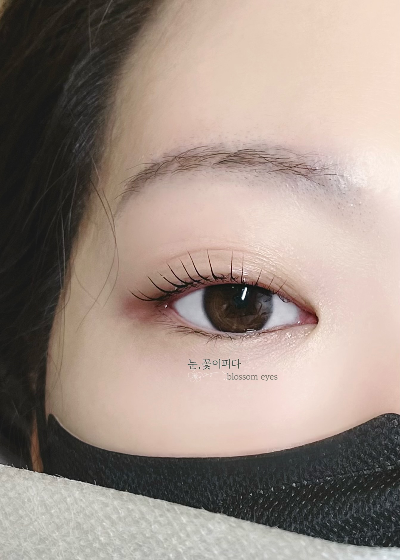 눈,꽃이피다