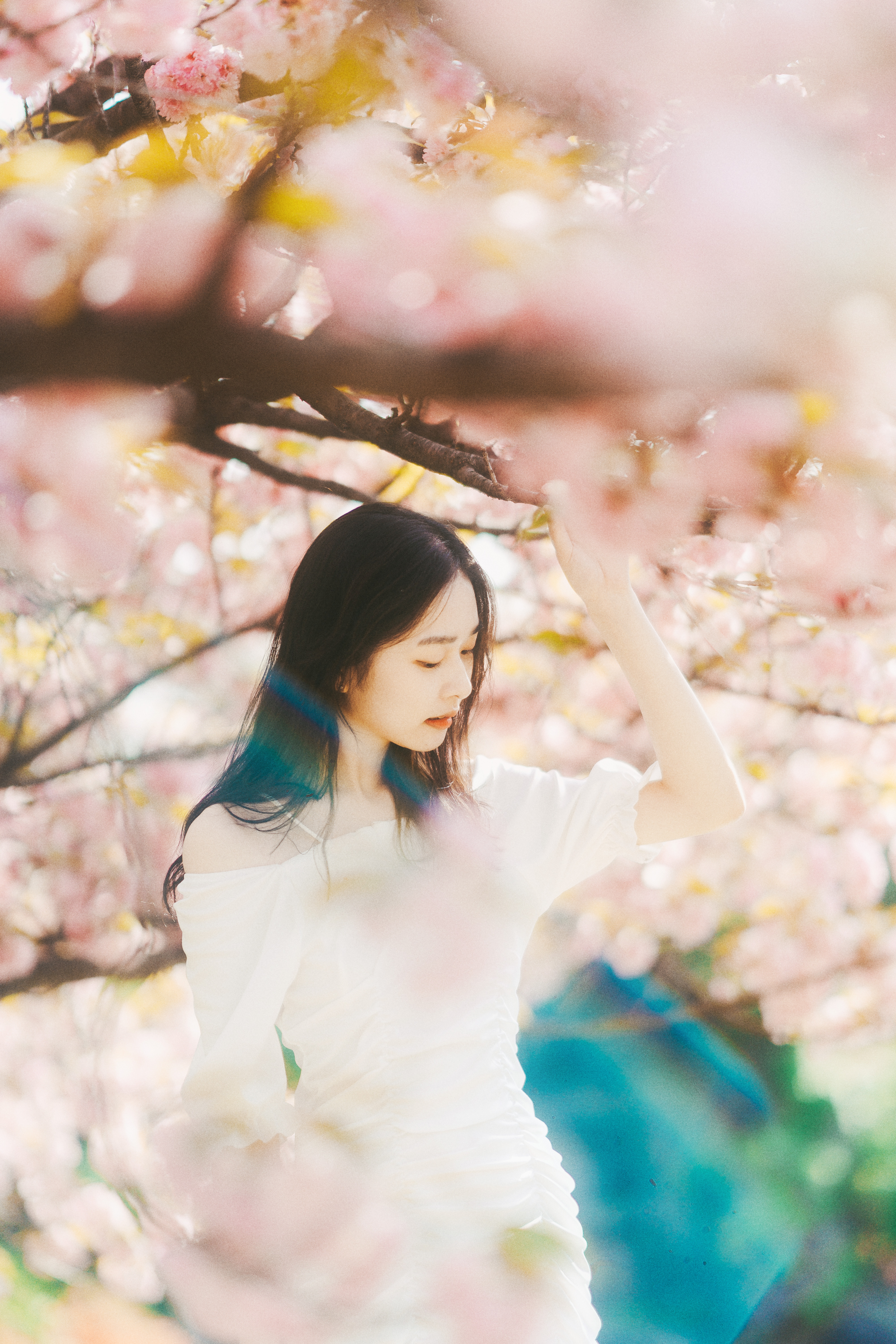 트렌드블루랩 대표 이미지