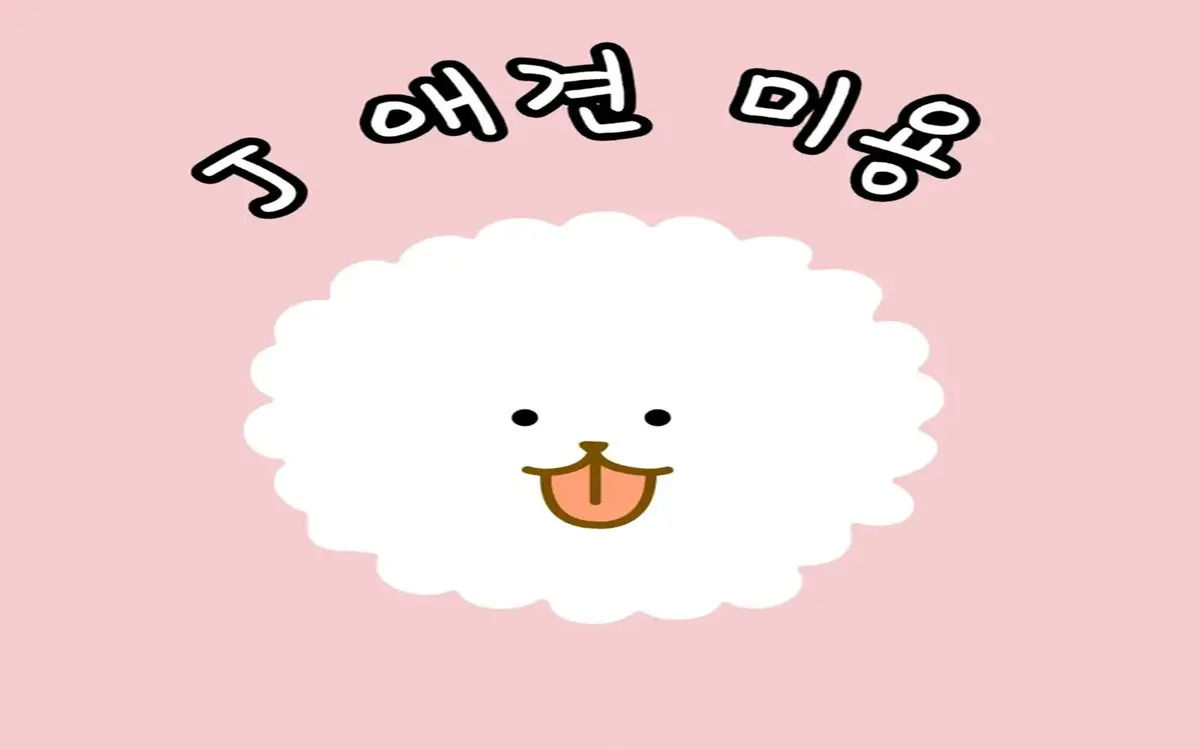 J애견미용 대표 이미지