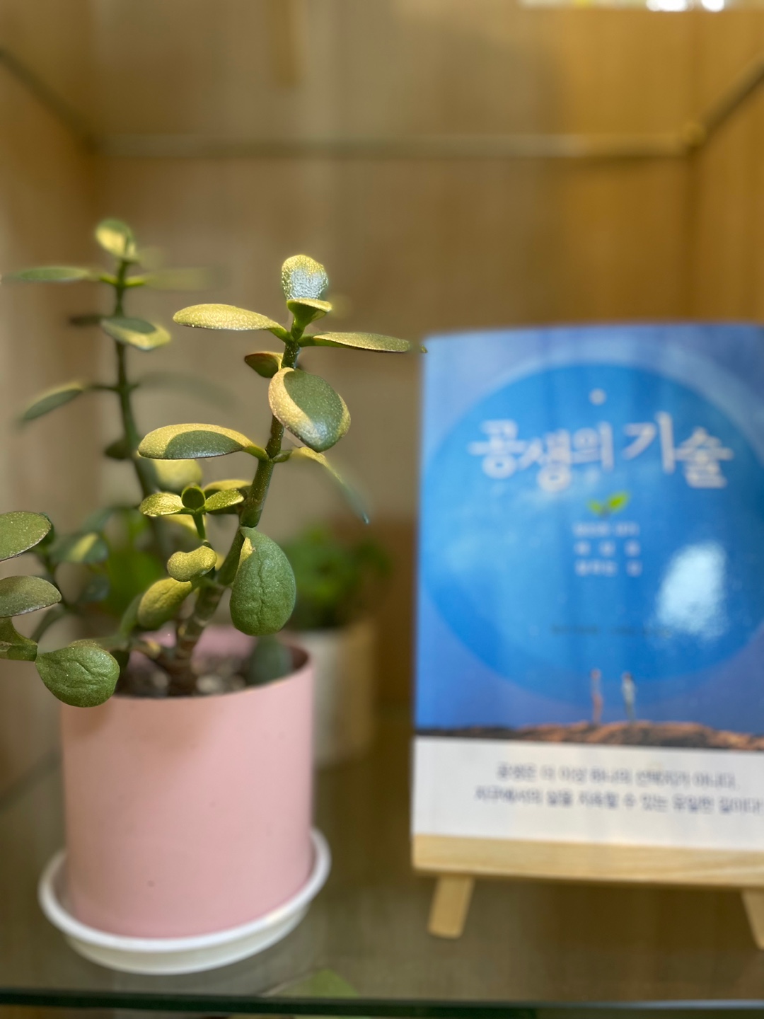 브레인트레이닝센터 덕수궁점 대표 이미지