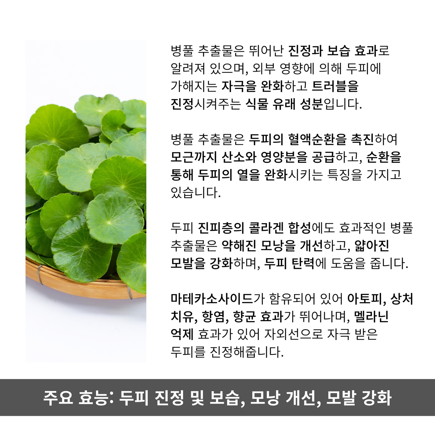 모리셋두피재생센터 대표 이미지