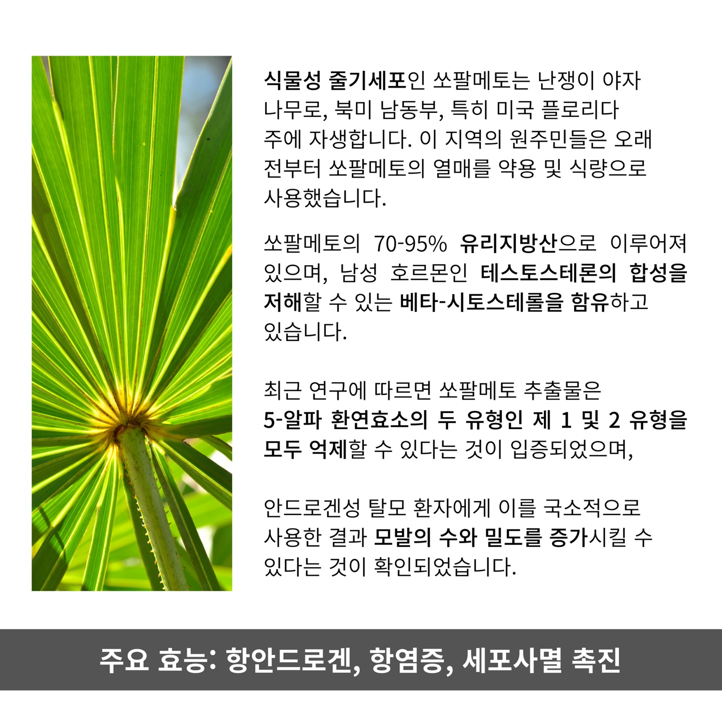 모리셋두피재생센터 울산점 대표 이미지