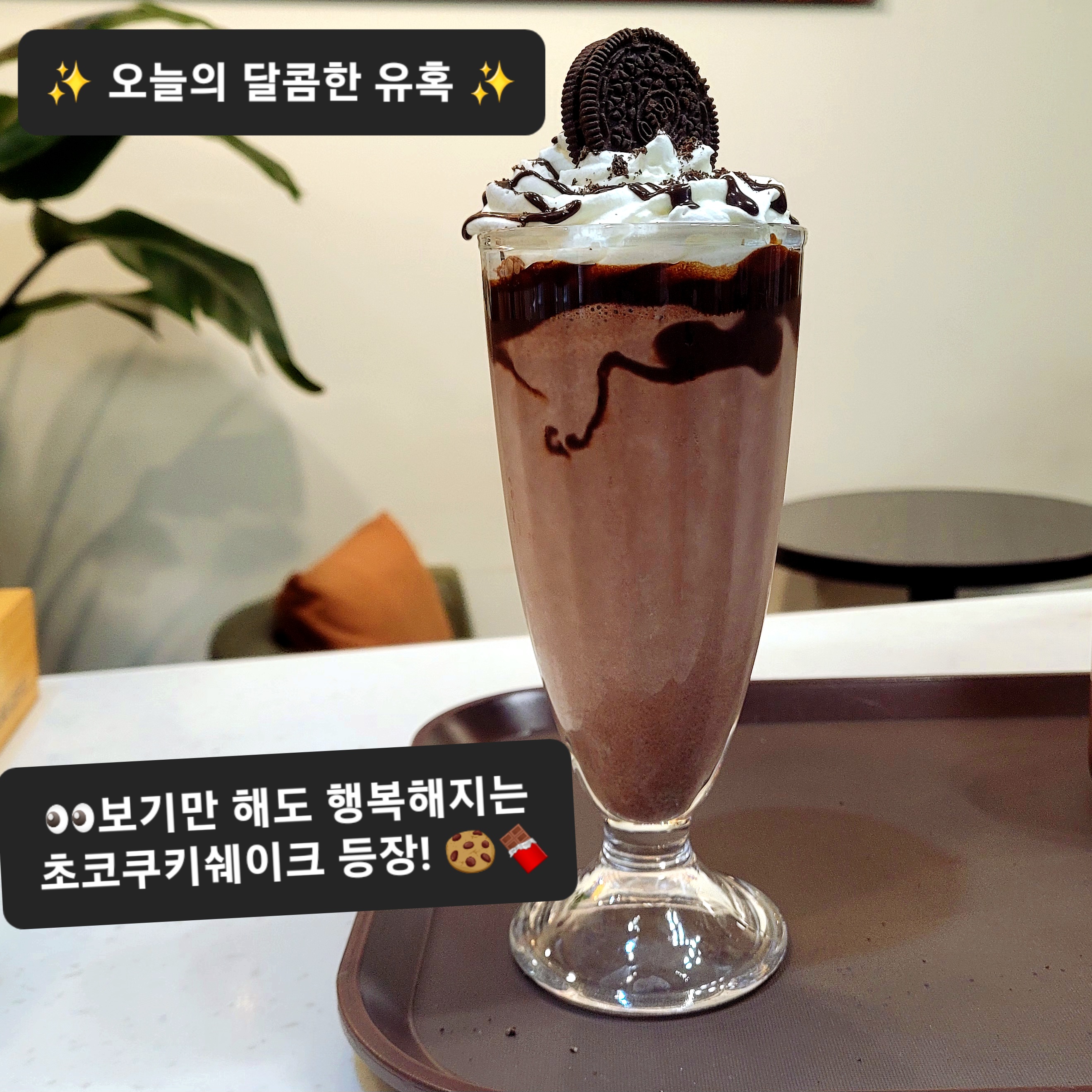 필쏘굿 반려동물 동반 애견카페