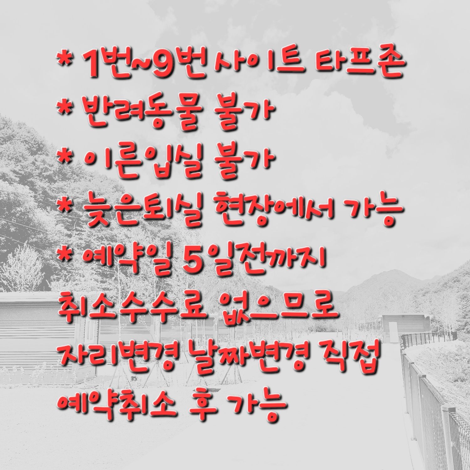 자작나무뜰 오토캠핑장