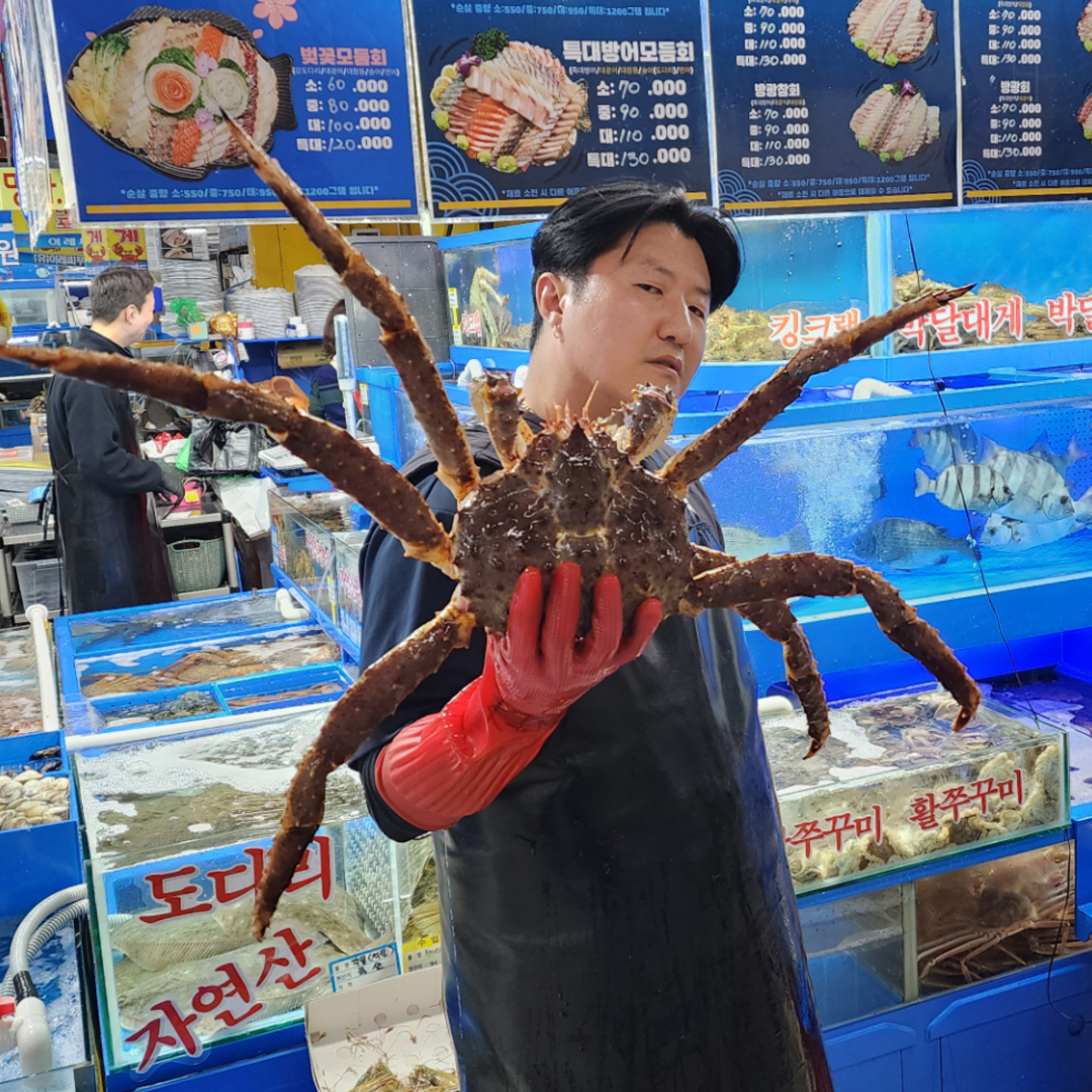 일월수산