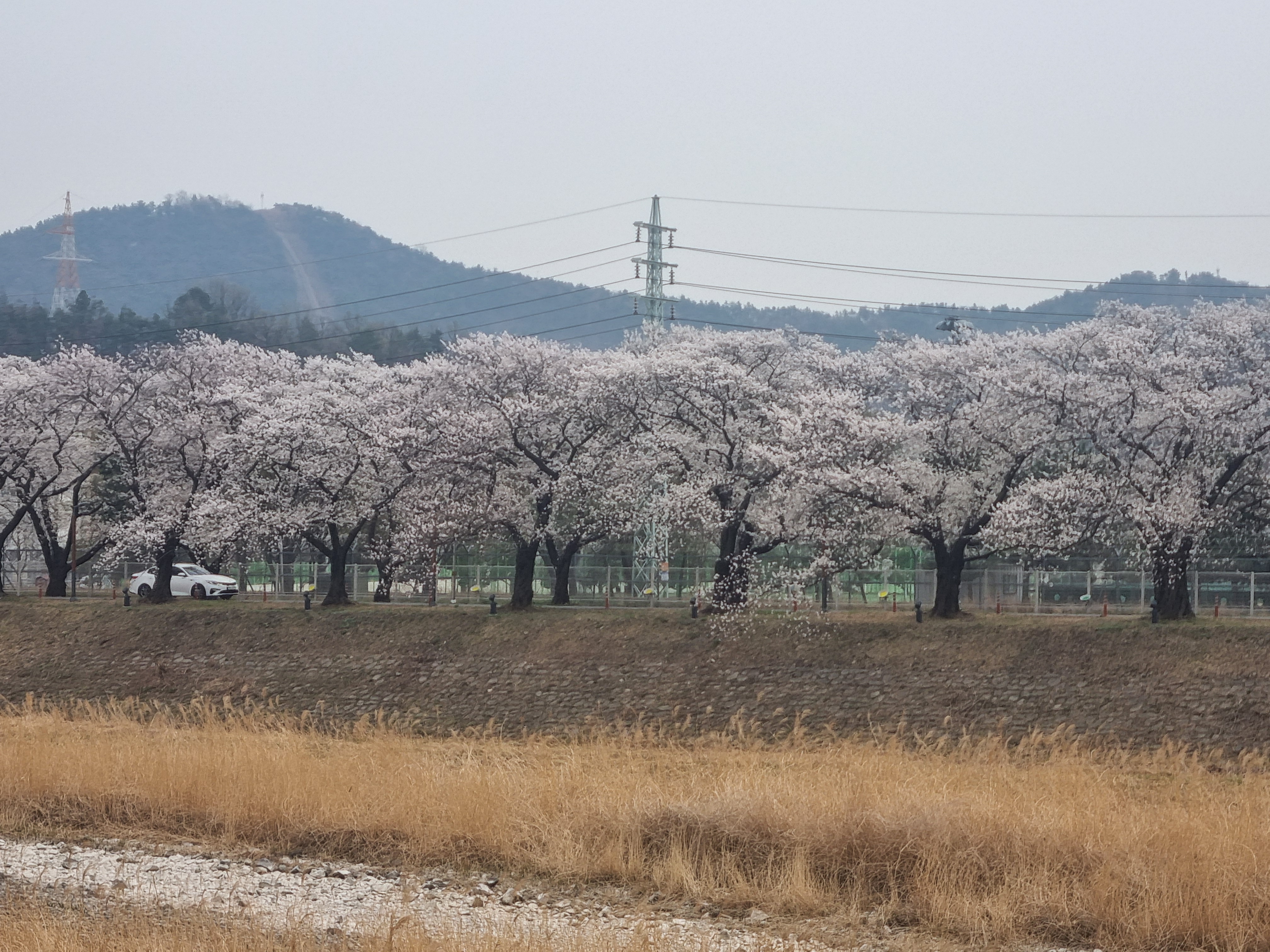 소후리 갈비