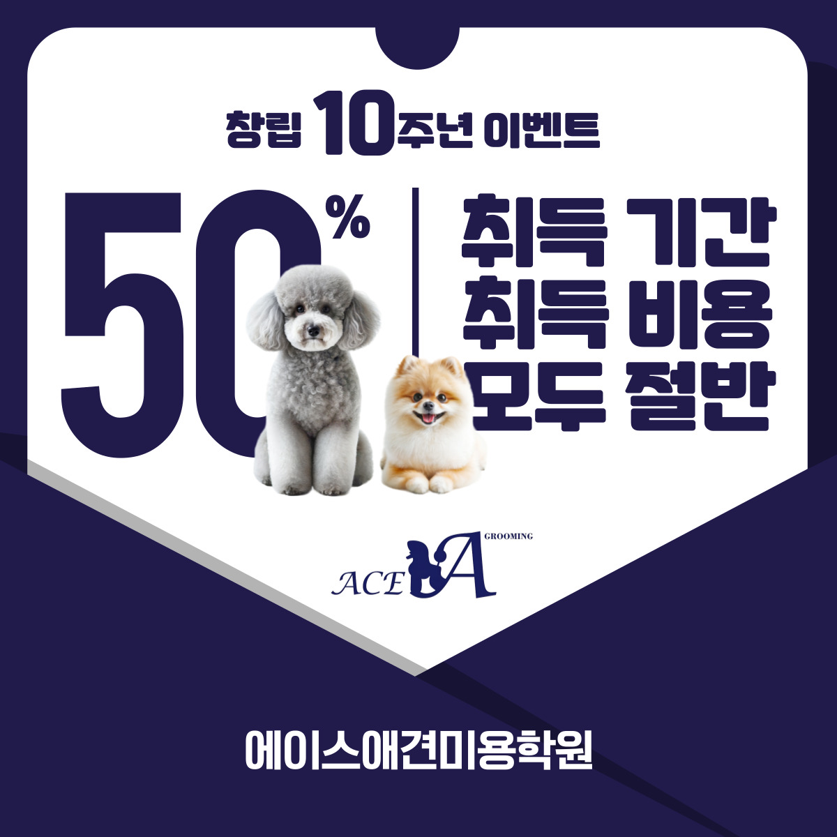 에이스애견미용학원