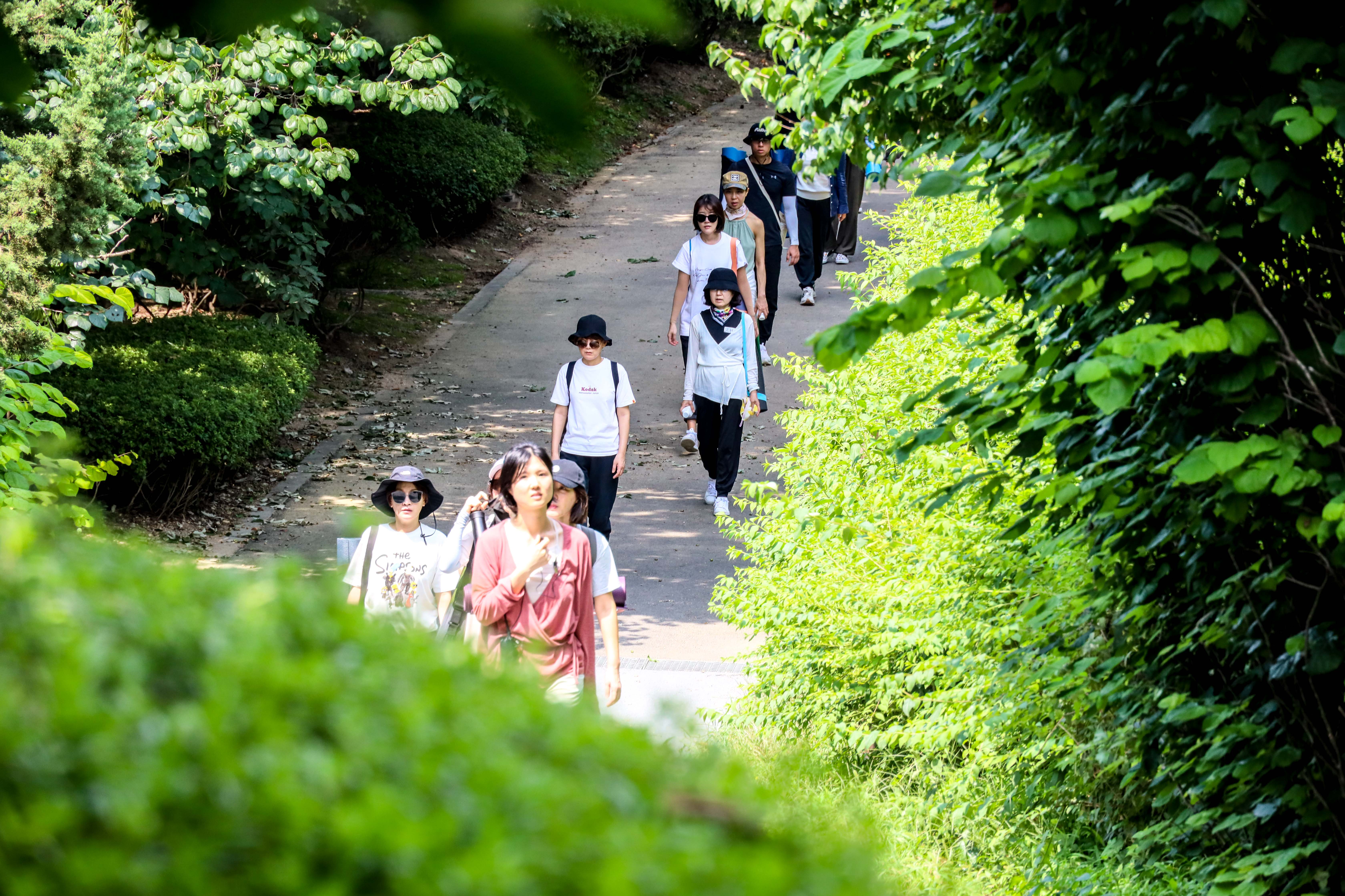 리탐빌 요가명상 대표 이미지