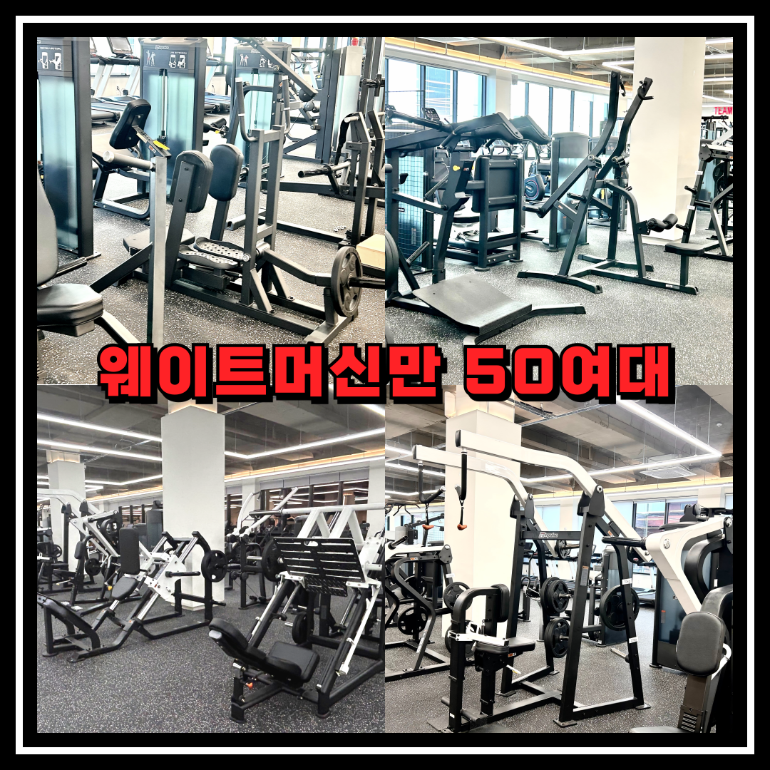팀터틀랫 아산온천점