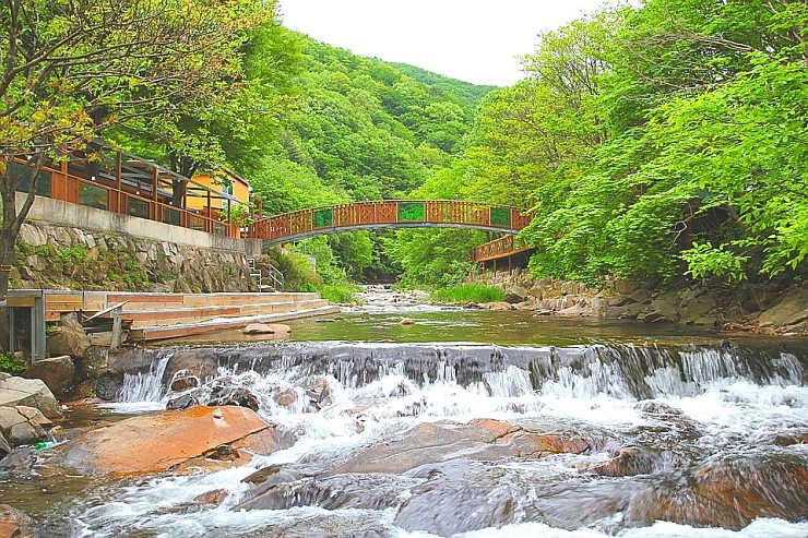 전원 오토캠핑장