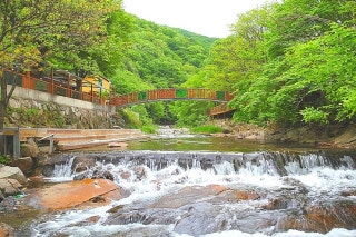 전원 오토캠핑장