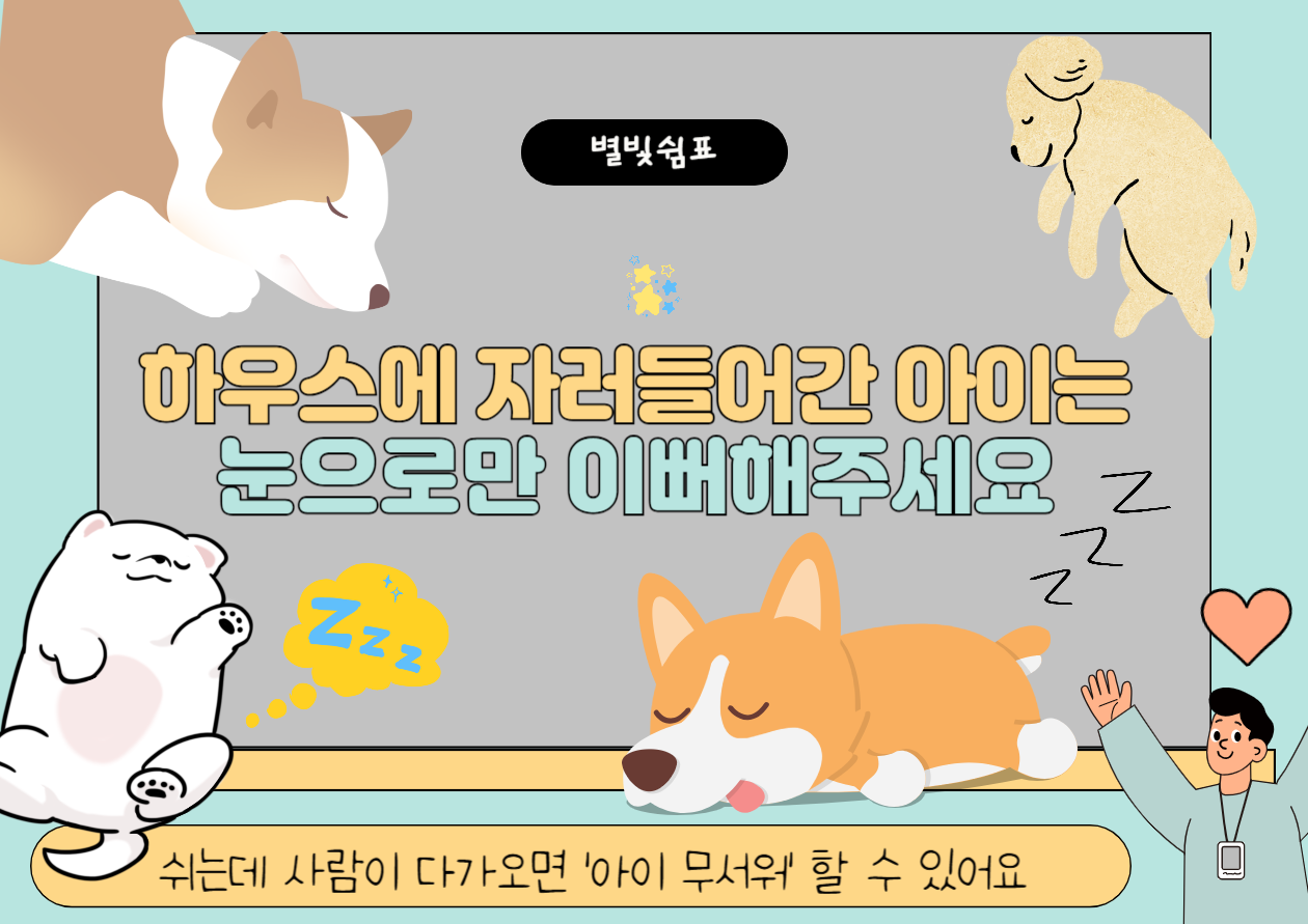 멍스냅 8